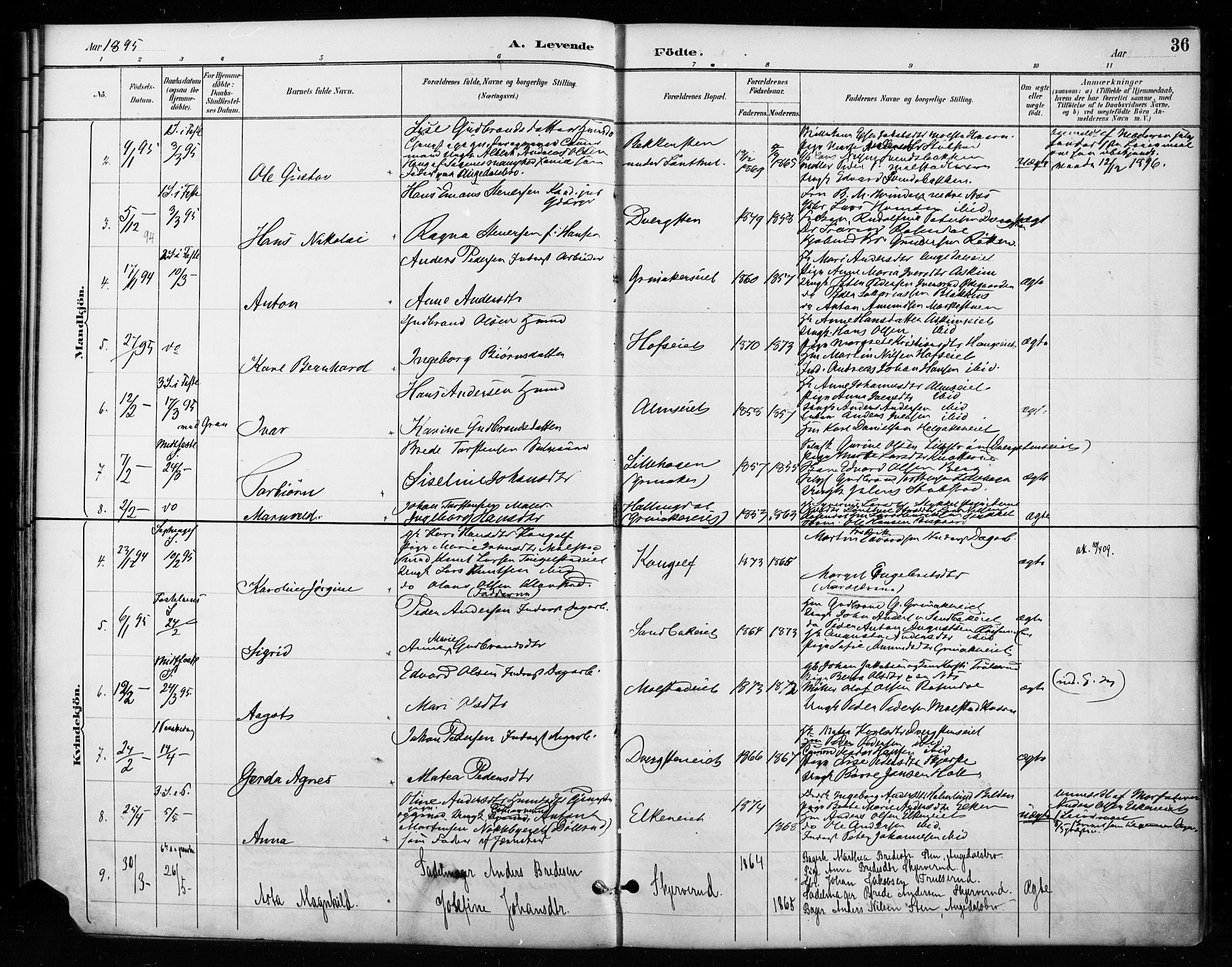 Gran prestekontor, AV/SAH-PREST-112/H/Ha/Haa/L0018: Parish register (official) no. 18, 1889-1899, p. 36