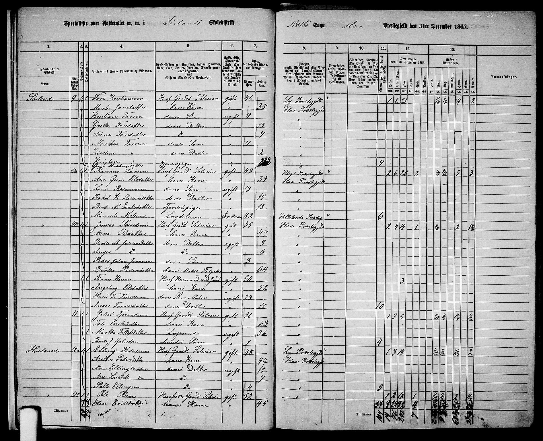RA, 1865 census for Hå, 1865, p. 14