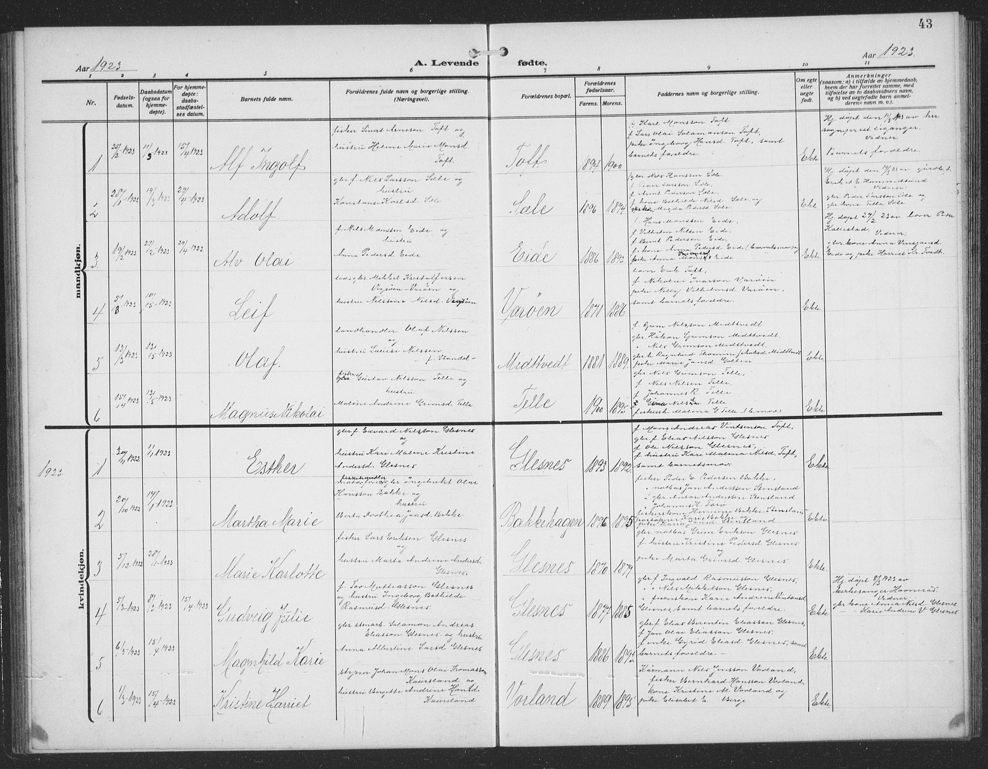 Sund sokneprestembete, SAB/A-99930: Parish register (copy) no. C 1, 1913-1928, p. 43