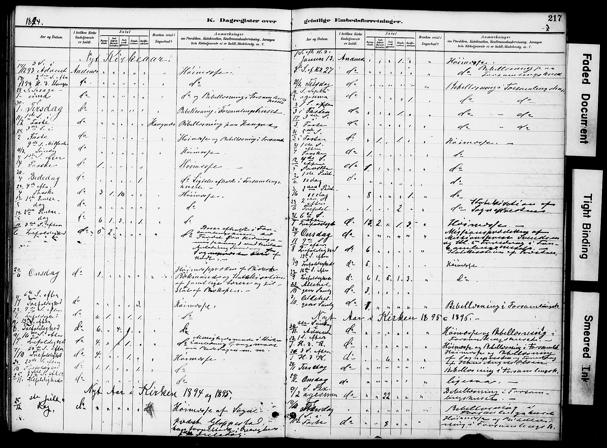 Ministerialprotokoller, klokkerbøker og fødselsregistre - Nordland, AV/SAT-A-1459/899/L1448: Parish register (copy) no. 899C03, 1887-1902, p. 217