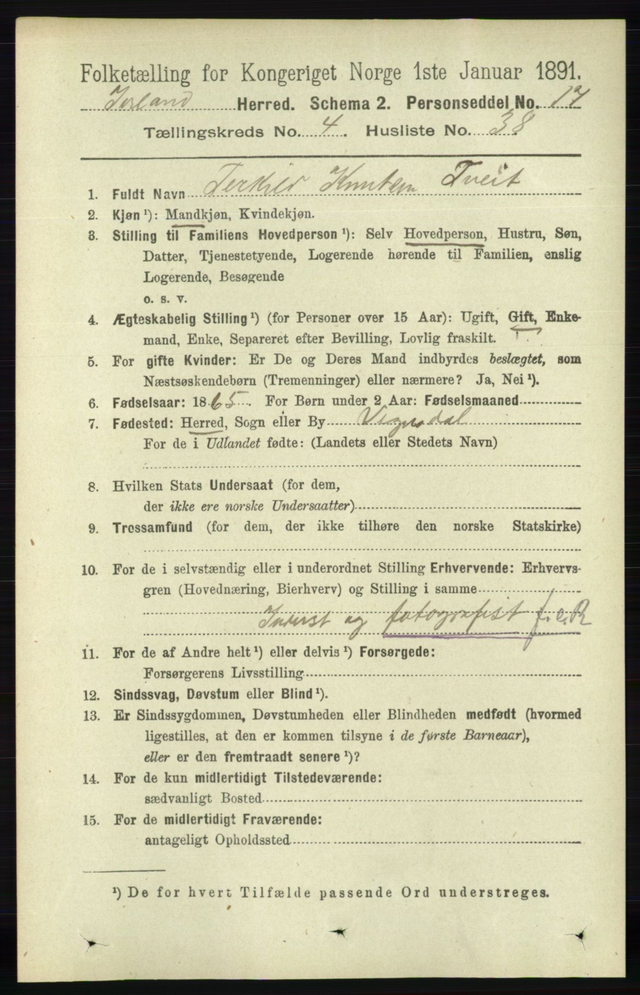 RA, 1891 census for 0935 Iveland, 1891, p. 1298