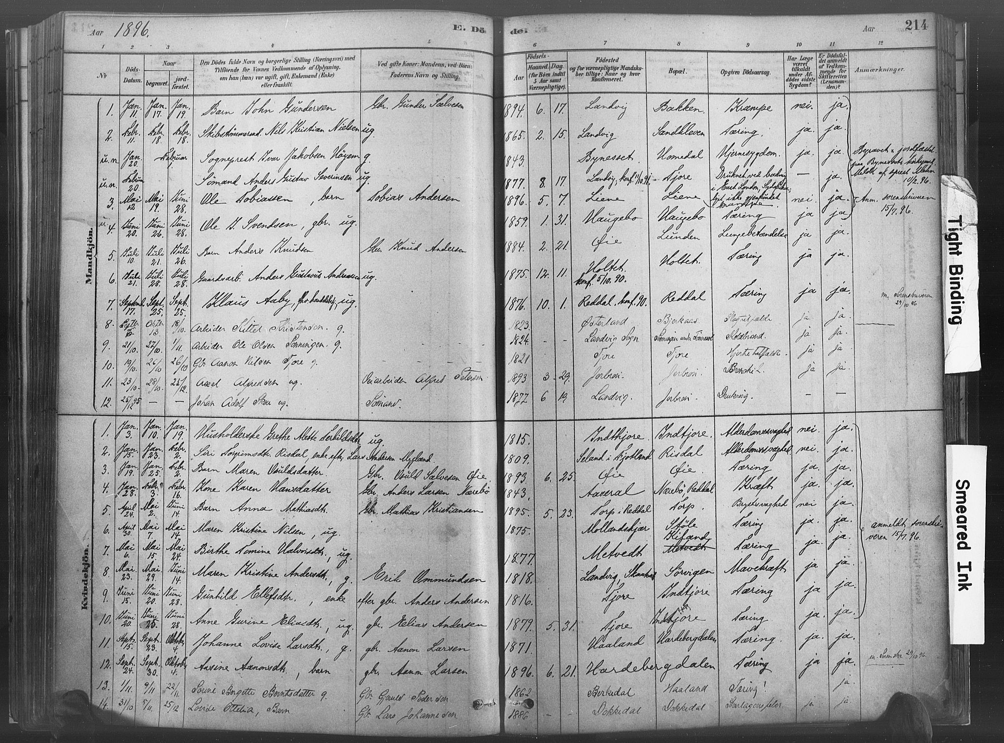 Hommedal sokneprestkontor, AV/SAK-1111-0023/F/Fa/Fab/L0006: Parish register (official) no. A 6, 1878-1897, p. 214