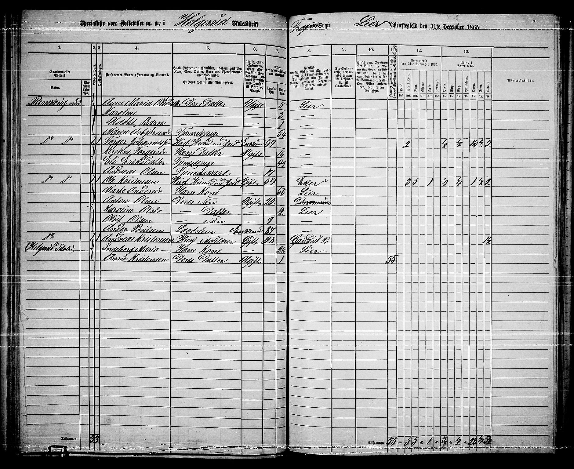 RA, 1865 census for Lier, 1865, p. 80