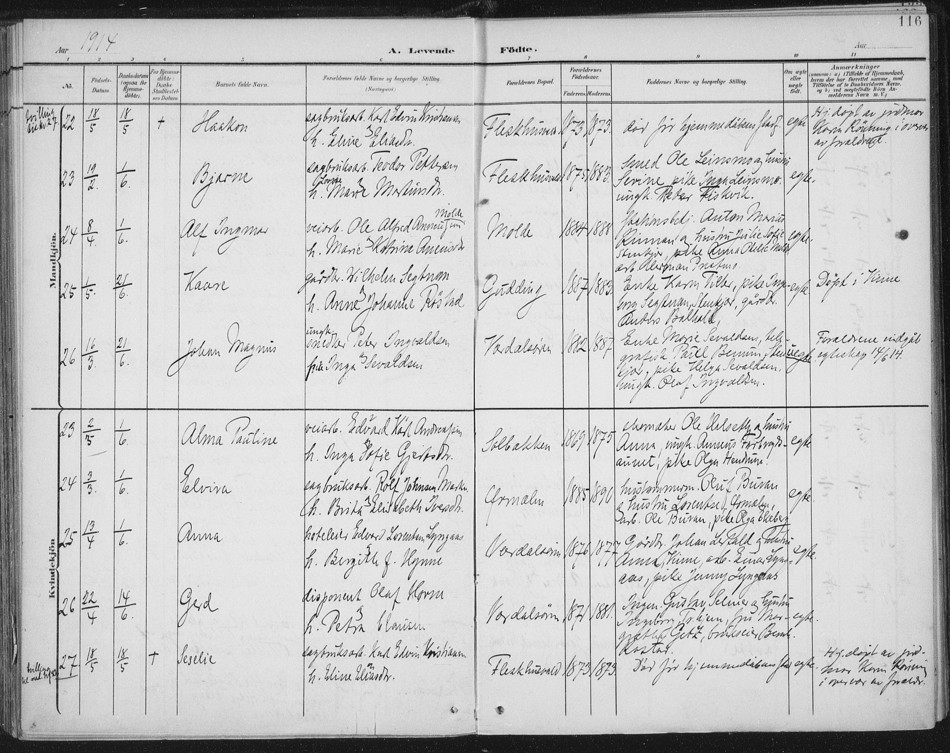 Ministerialprotokoller, klokkerbøker og fødselsregistre - Nord-Trøndelag, SAT/A-1458/723/L0246: Parish register (official) no. 723A15, 1900-1917, p. 116