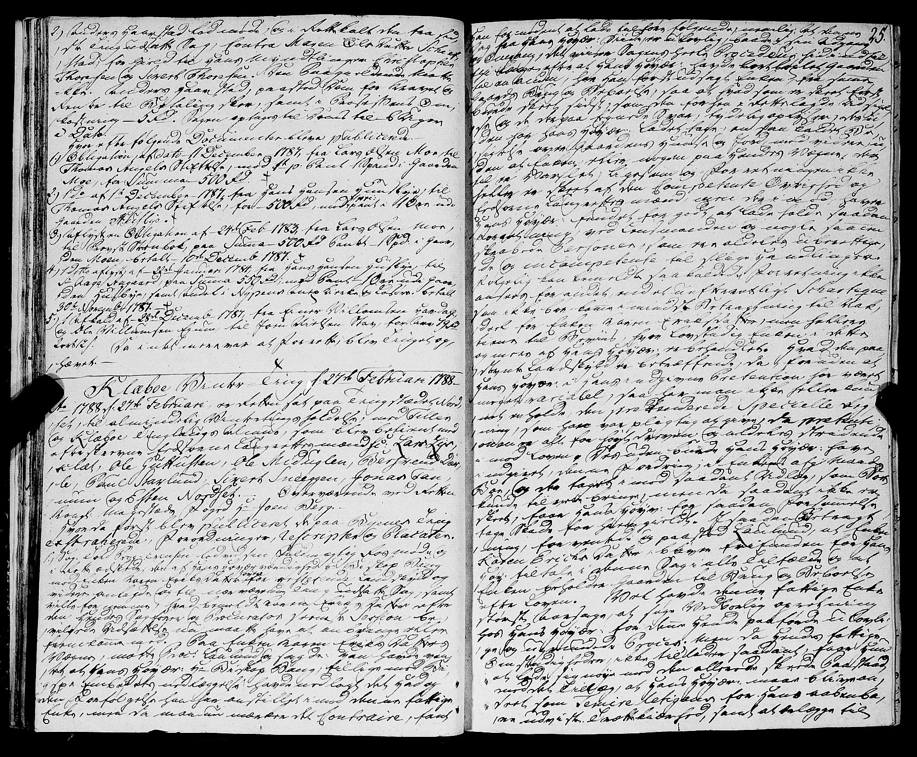 Strinda og Selbu sorenskriveri, AV/SAT-A-0015/1/1A/L0015: Tingbok 14, 1787-1794, p. 24b-25a