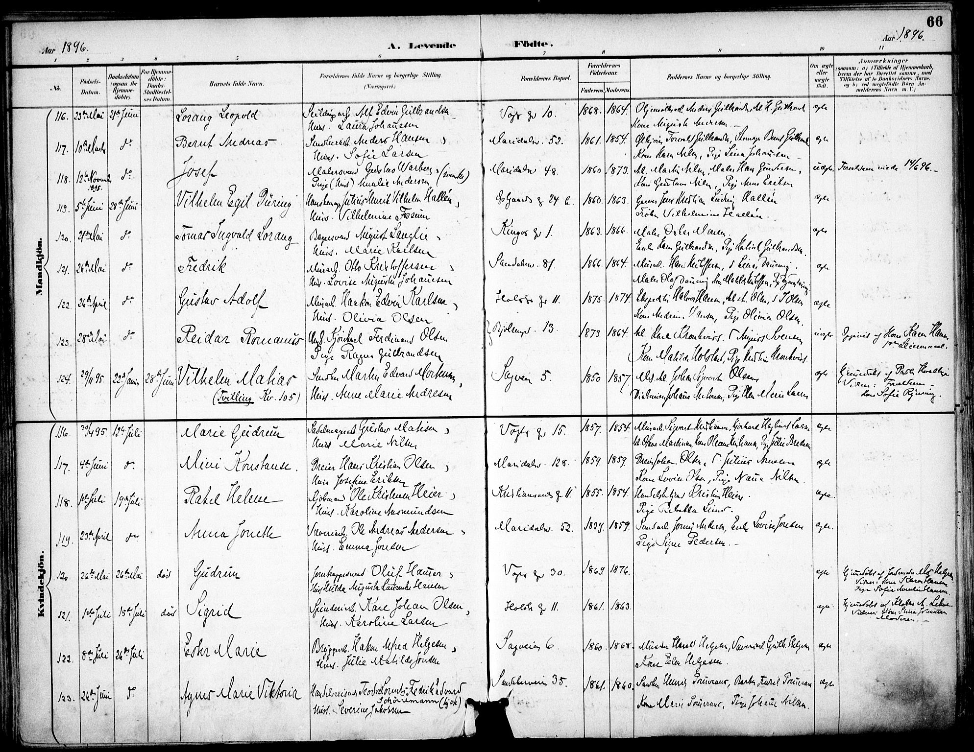 Sagene prestekontor Kirkebøker, SAO/A-10796/F/L0004: Parish register (official) no. 4, 1894-1904, p. 66