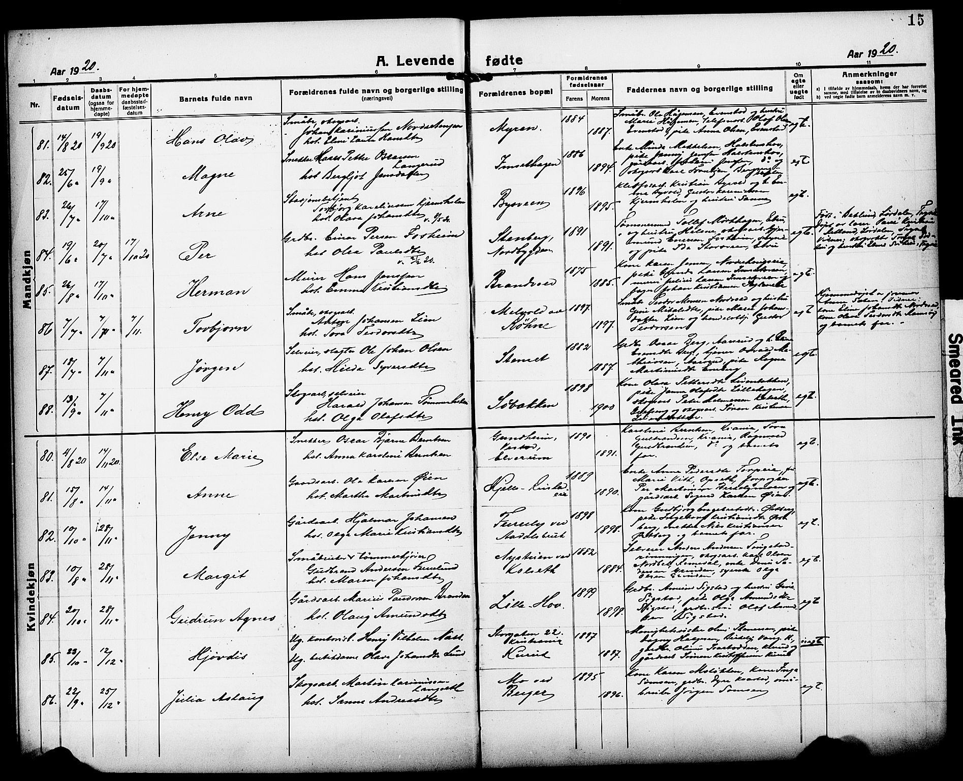 Løten prestekontor, AV/SAH-PREST-022/L/La/L0008: Parish register (copy) no. 8, 1920-1929, p. 15