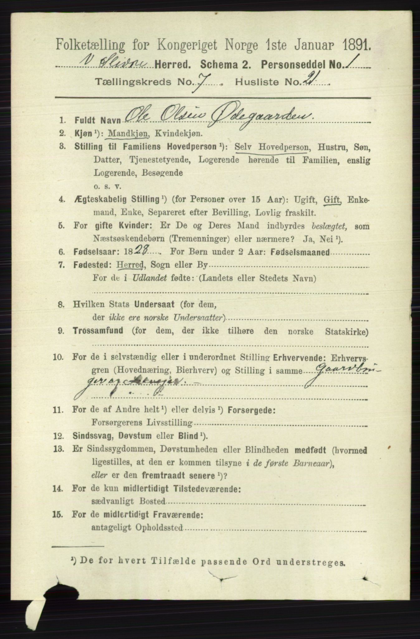 RA, 1891 census for 0543 Vestre Slidre, 1891, p. 2704