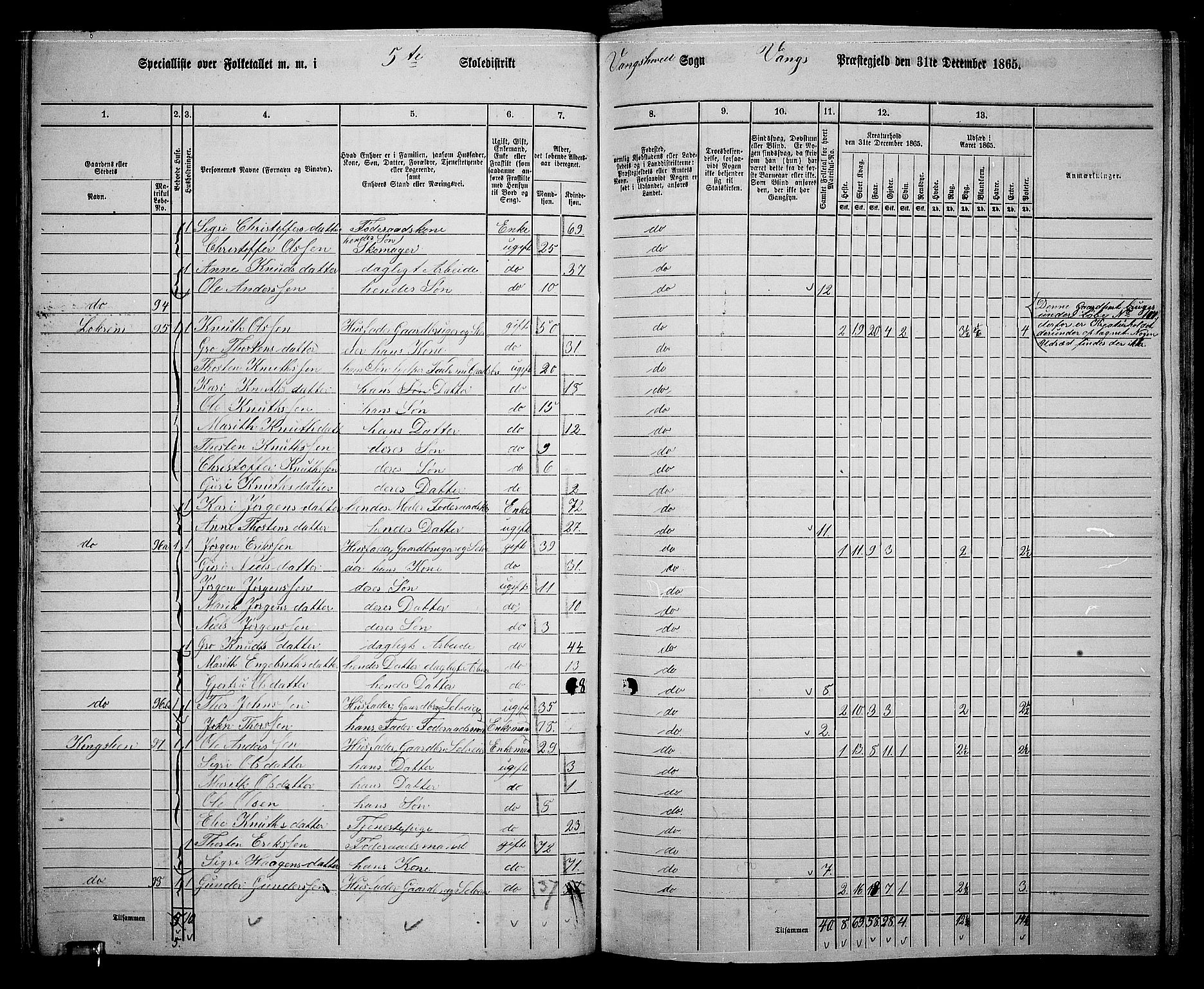 RA, 1865 census for Vang, 1865, p. 67