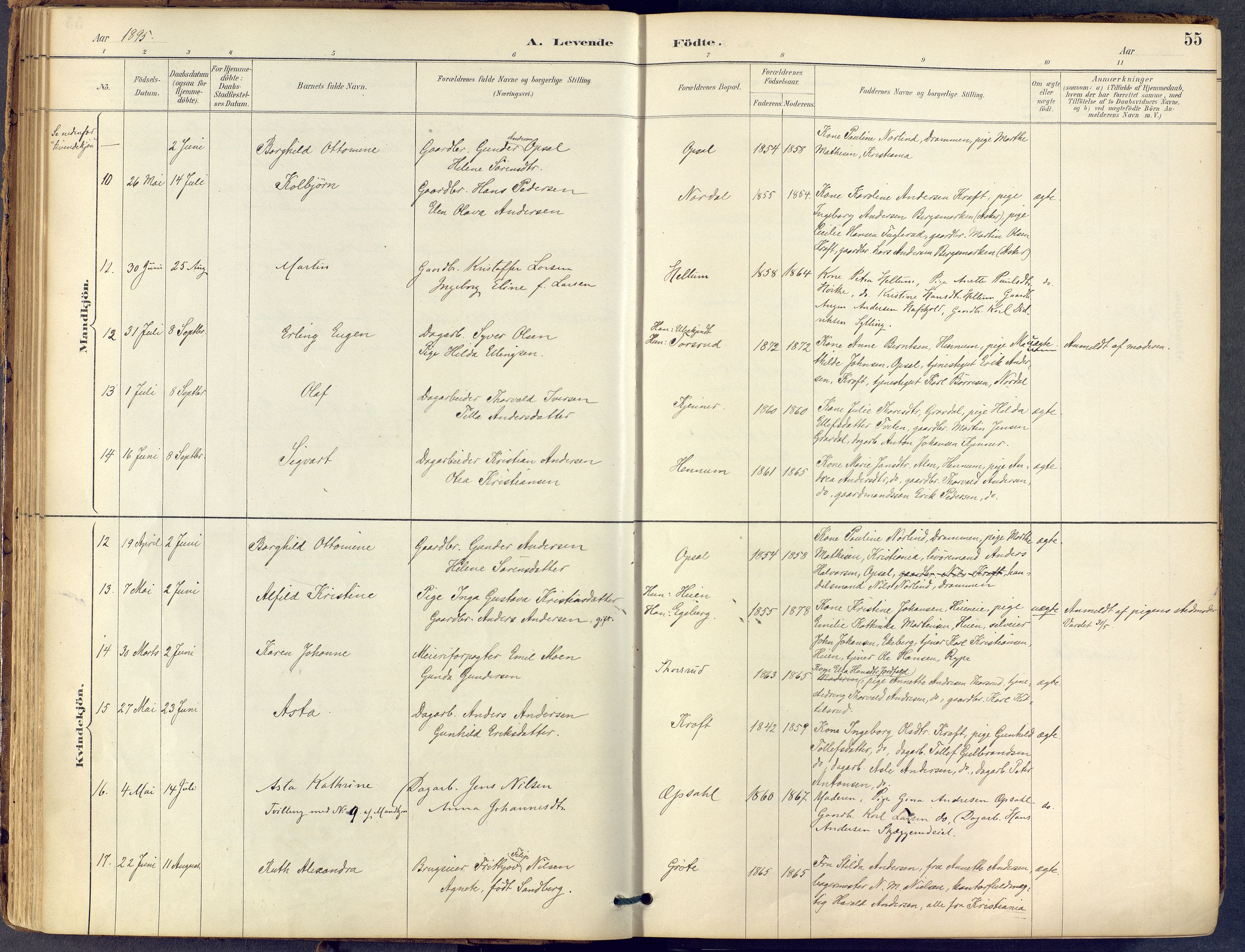 Lier kirkebøker, AV/SAKO-A-230/F/Fb/L0001: Parish register (official) no. II 1, 1883-1910, p. 55