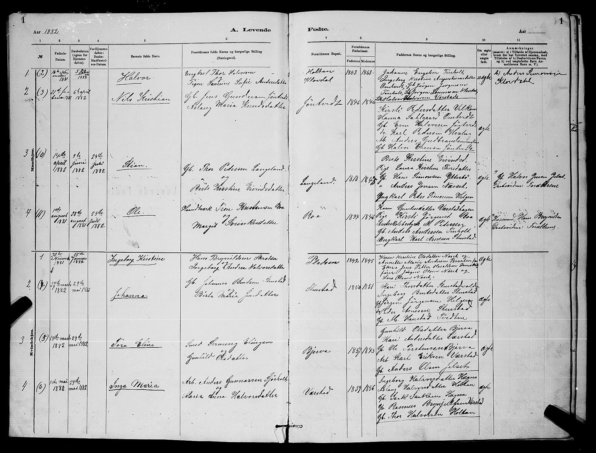 Holla kirkebøker, AV/SAKO-A-272/G/Gb/L0001: Parish register (copy) no. II 1, 1882-1897, p. 1