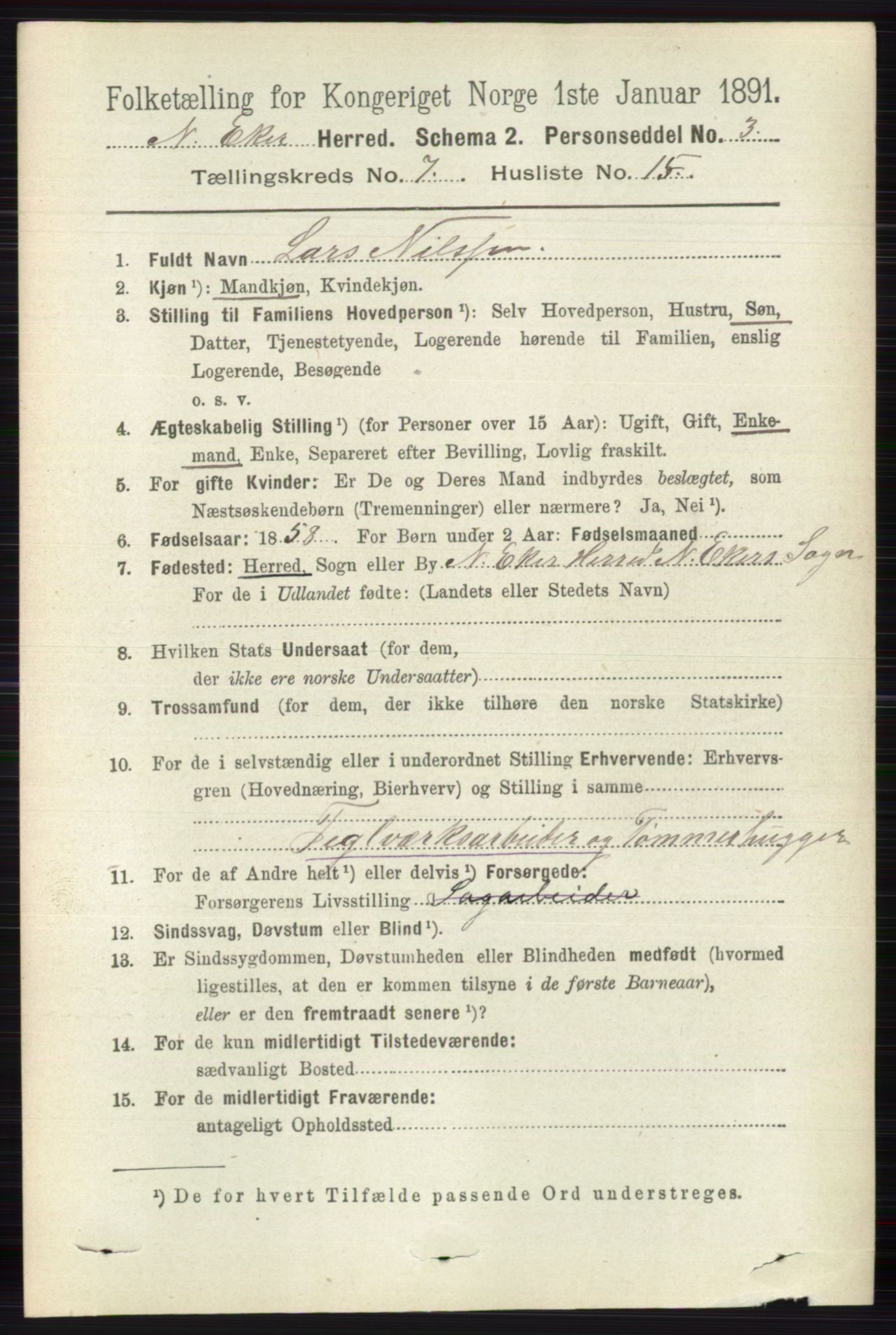 RA, 1891 census for 0625 Nedre Eiker, 1891, p. 3489