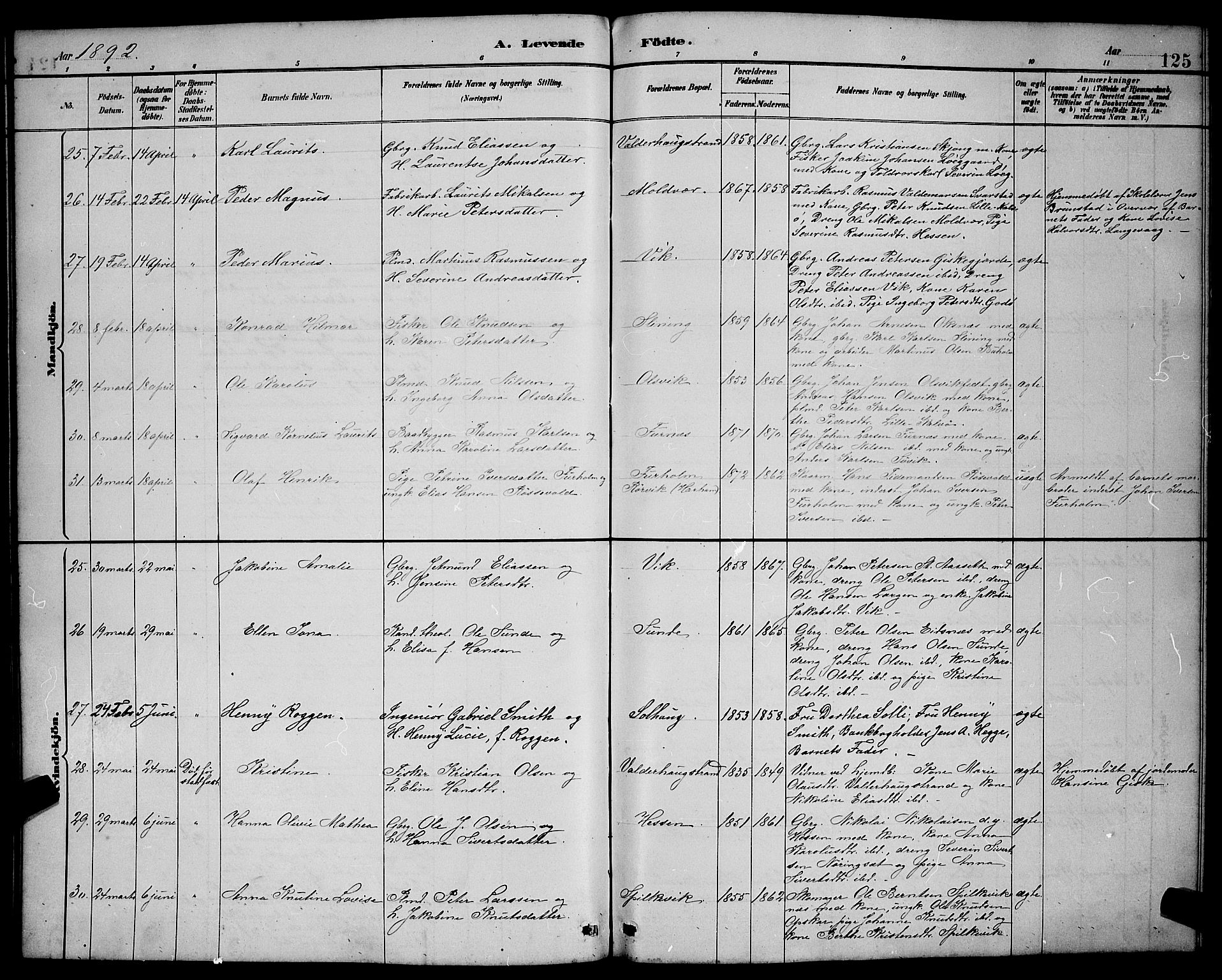 Ministerialprotokoller, klokkerbøker og fødselsregistre - Møre og Romsdal, SAT/A-1454/528/L0431: Parish register (copy) no. 528C12, 1885-1898, p. 125