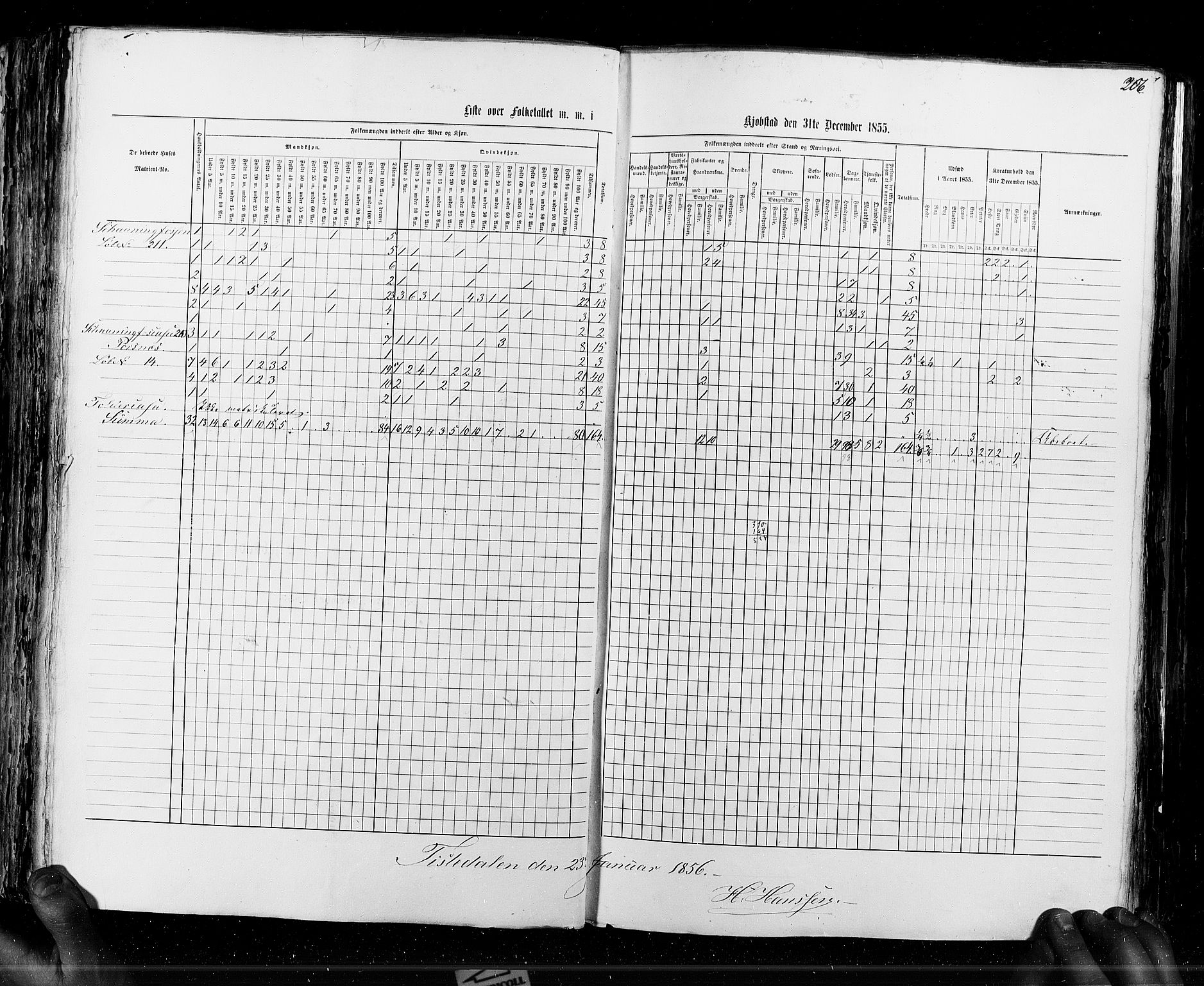 RA, Census 1855, vol. 7: Fredrikshald-Kragerø, 1855, p. 206