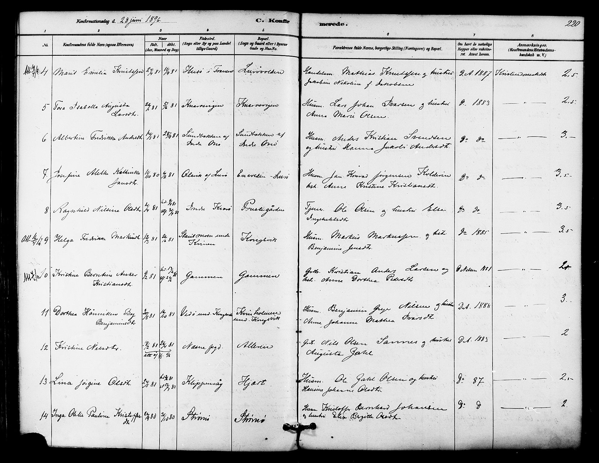 Ministerialprotokoller, klokkerbøker og fødselsregistre - Nordland, AV/SAT-A-1459/839/L0568: Parish register (official) no. 839A05, 1880-1902, p. 220