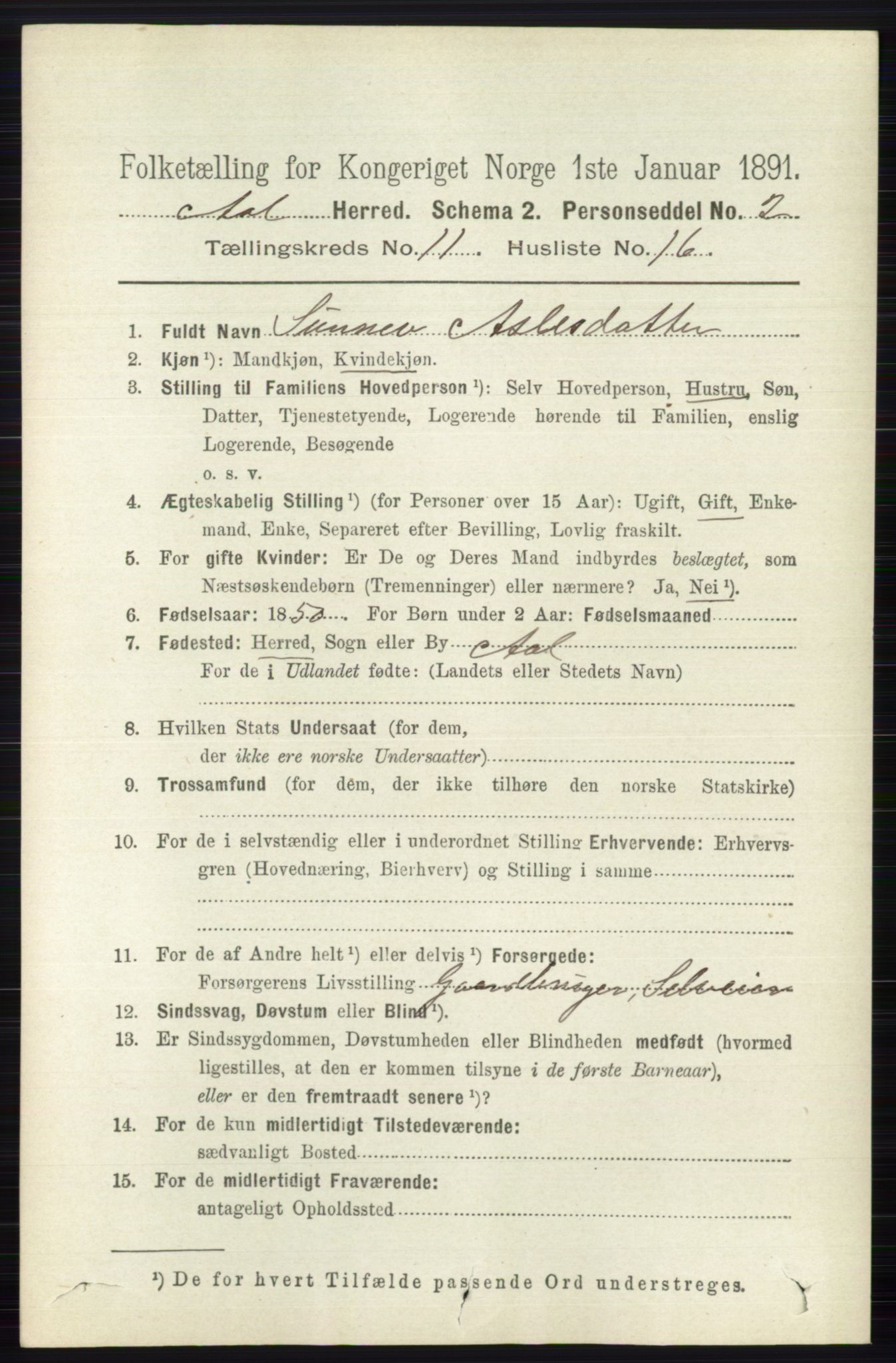 RA, 1891 census for 0619 Ål, 1891, p. 2959