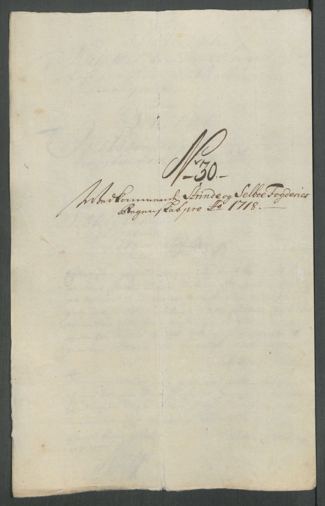 Rentekammeret inntil 1814, Reviderte regnskaper, Fogderegnskap, RA/EA-4092/R61/L4116: Fogderegnskap Strinda og Selbu, 1717-1718, p. 492