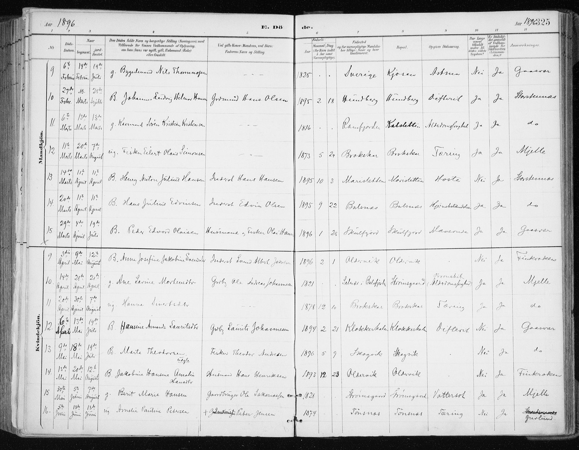 Tromsøysund sokneprestkontor, AV/SATØ-S-1304/G/Ga/L0005kirke: Parish register (official) no. 5, 1888-1896, p. 325