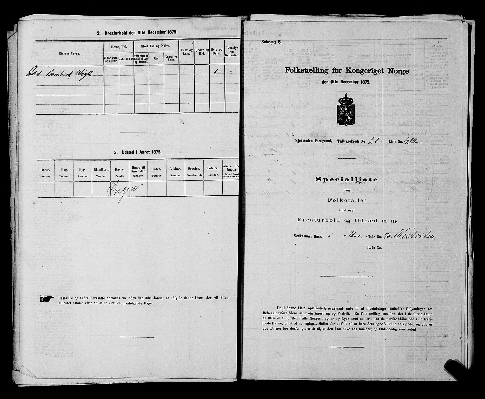 SAKO, 1875 census for 0805P Porsgrunn, 1875, p. 949