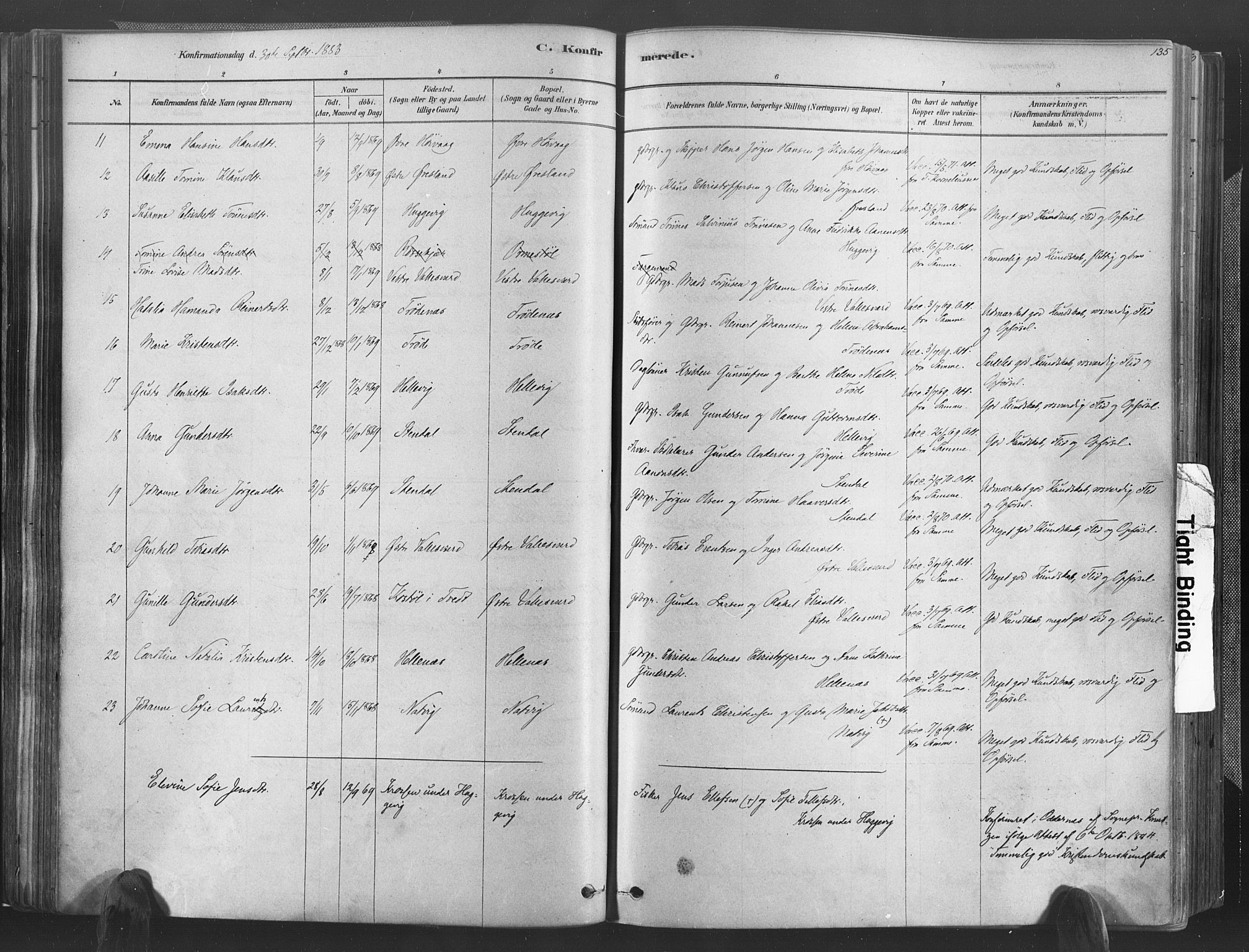 Høvåg sokneprestkontor, SAK/1111-0025/F/Fa/L0005: Parish register (official) no. A 5, 1878-1893, p. 135