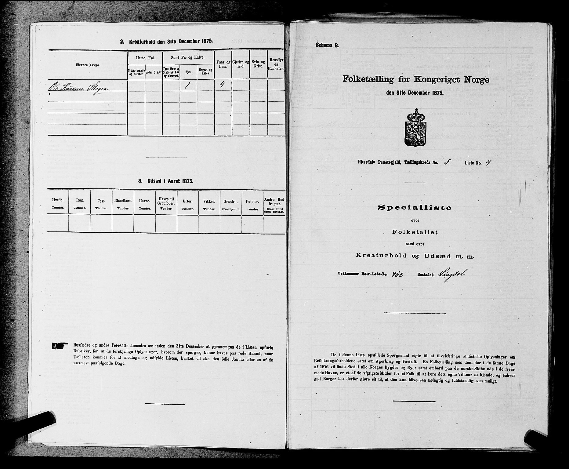 SAKO, 1875 census for 0823P Heddal, 1875, p. 706