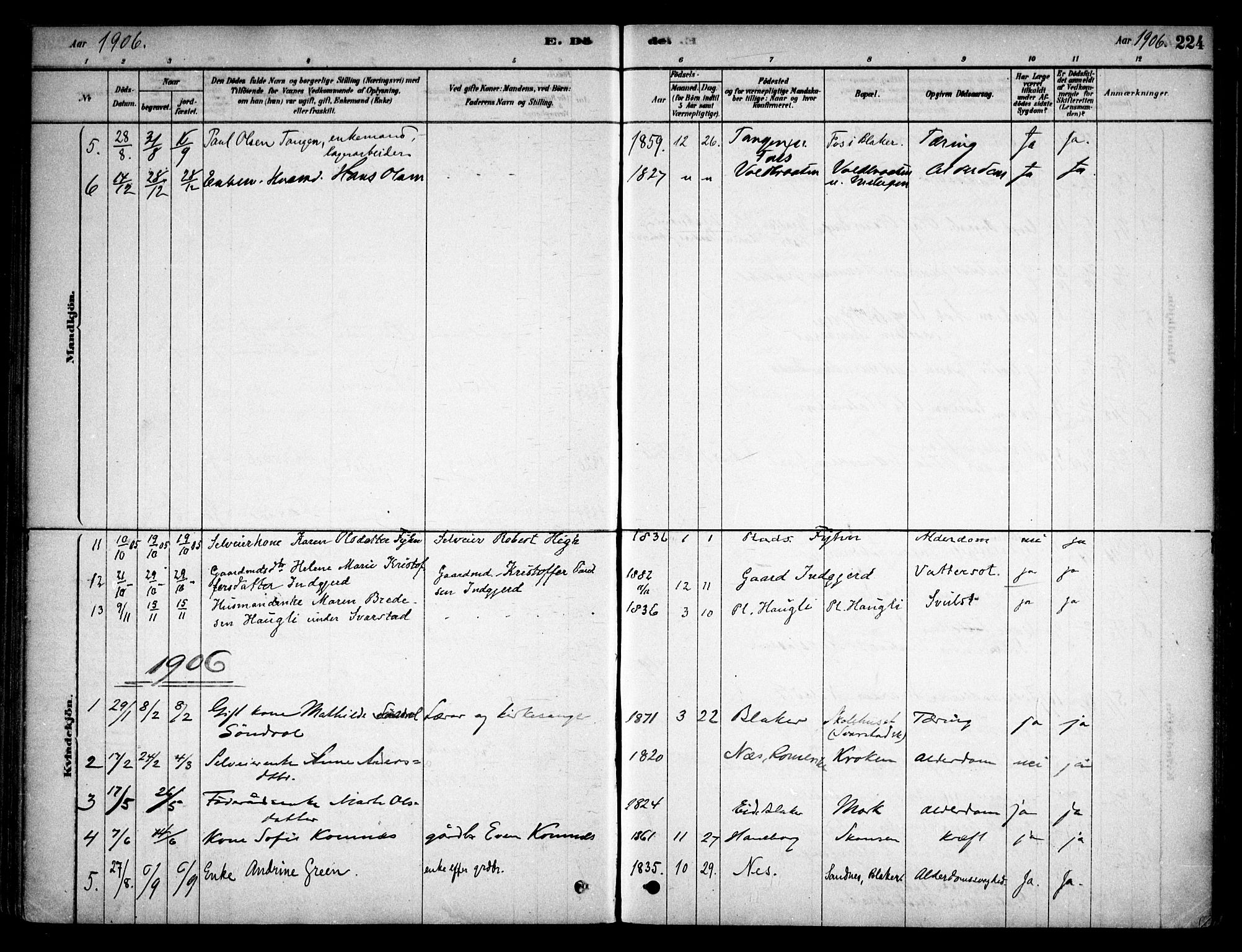 Aurskog prestekontor Kirkebøker, SAO/A-10304a/F/Fb/L0001: Parish register (official) no. II 1, 1878-1909, p. 224