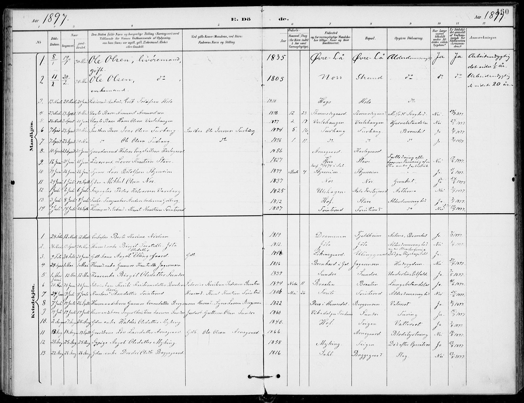 Ål kirkebøker, SAKO/A-249/F/Fa/L0009: Parish register (official) no. I 9, 1897-1915, p. 160