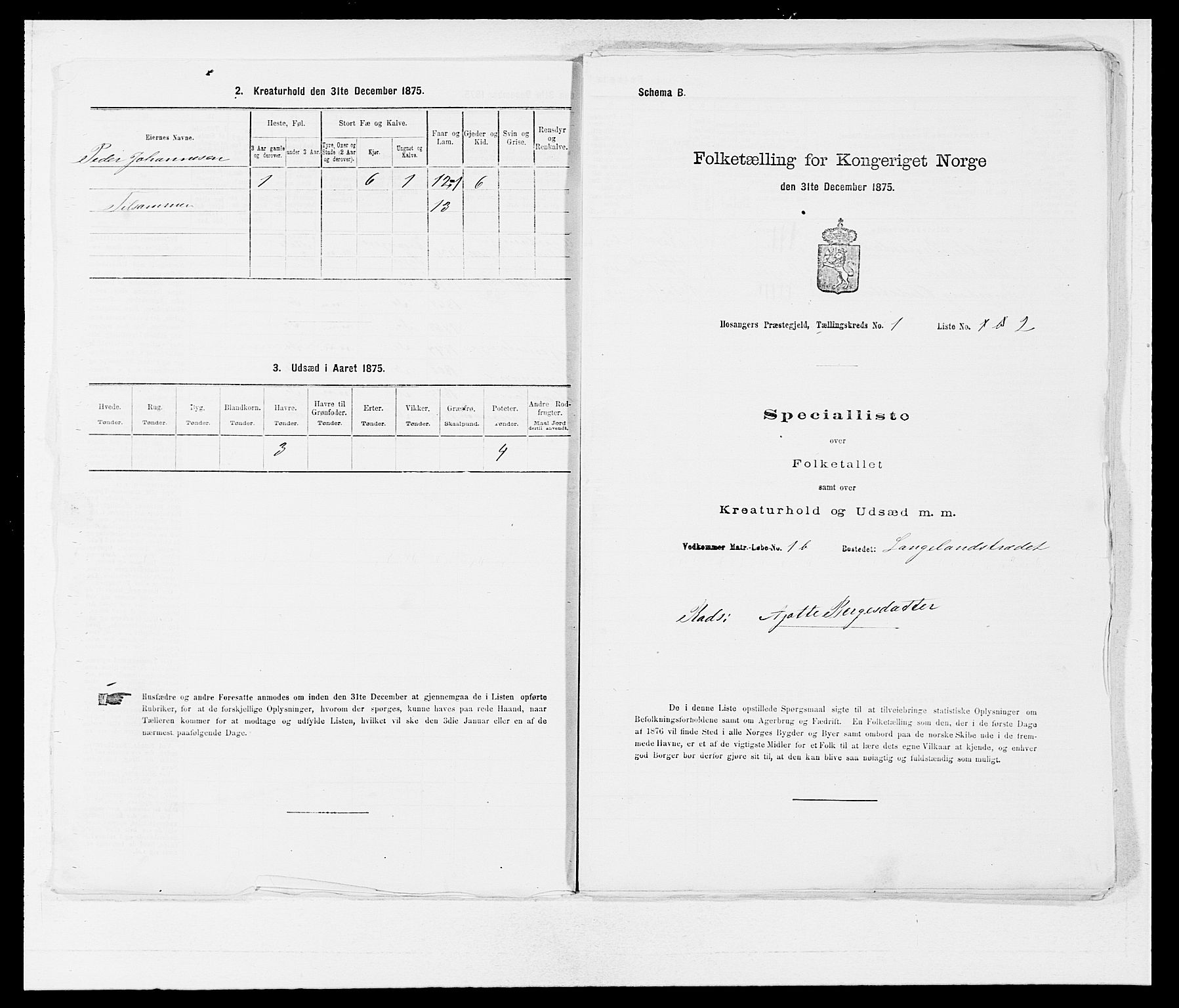 SAB, 1875 census for 1253P Hosanger, 1875, p. 39