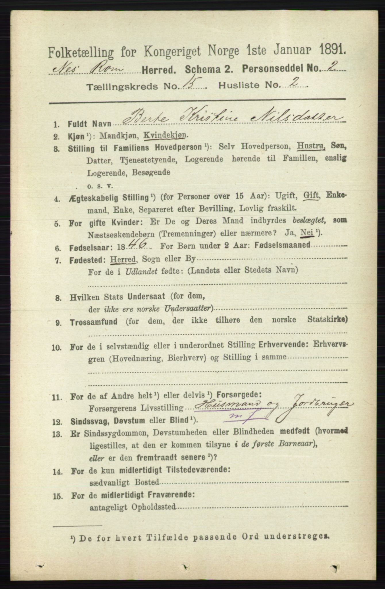 RA, 1891 census for 0236 Nes, 1891, p. 9009