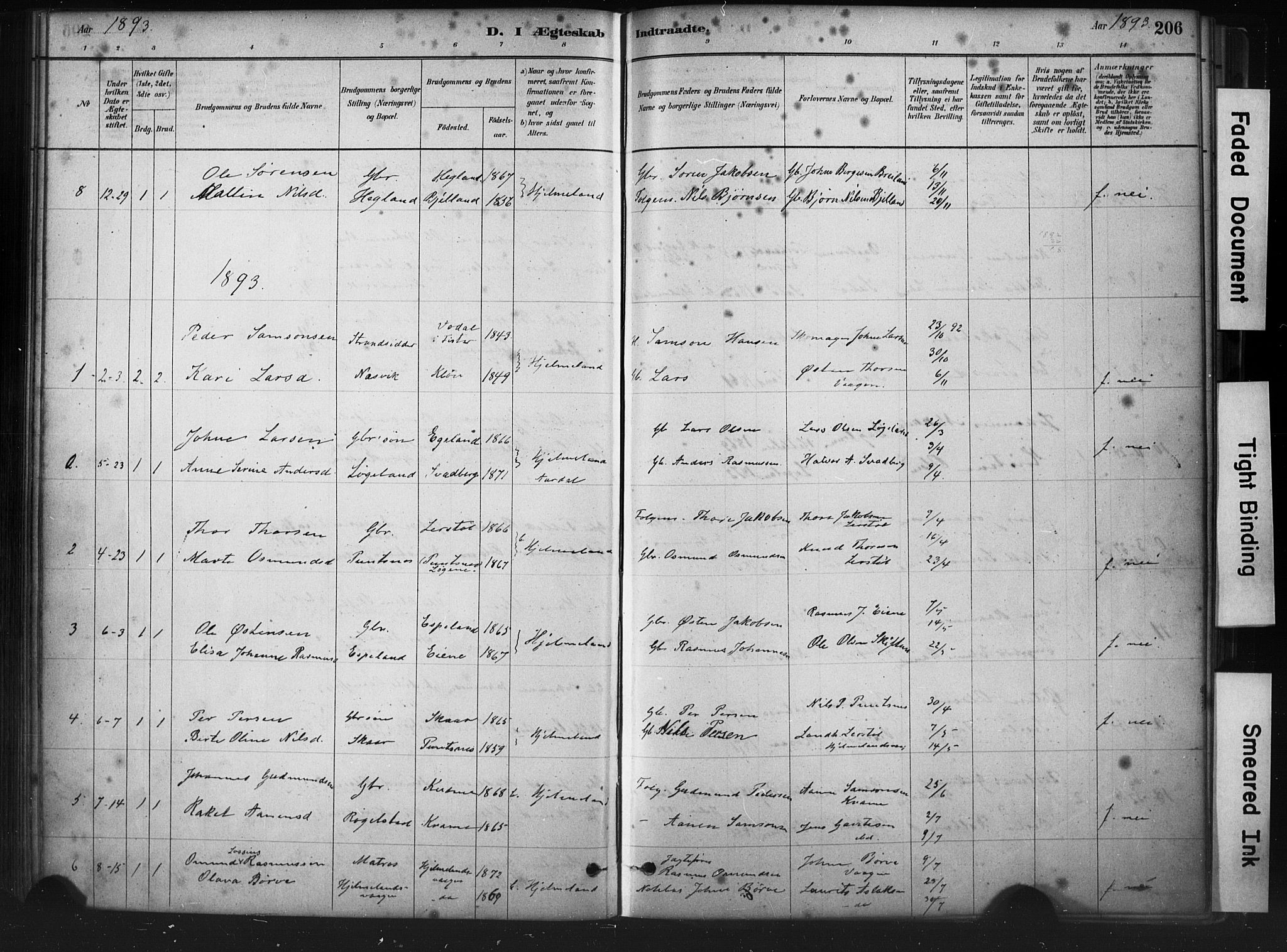 Hjelmeland sokneprestkontor, AV/SAST-A-101843/01/IV/L0014: Parish register (official) no. A 14, 1879-1900, p. 206