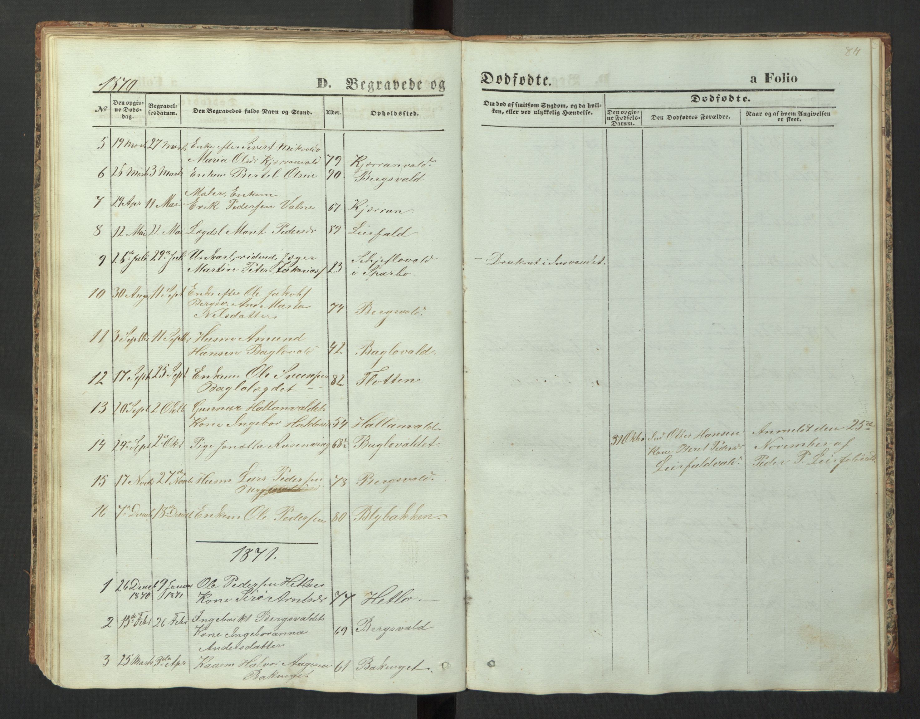Ministerialprotokoller, klokkerbøker og fødselsregistre - Nord-Trøndelag, SAT/A-1458/726/L0271: Parish register (copy) no. 726C02, 1869-1897, p. 84