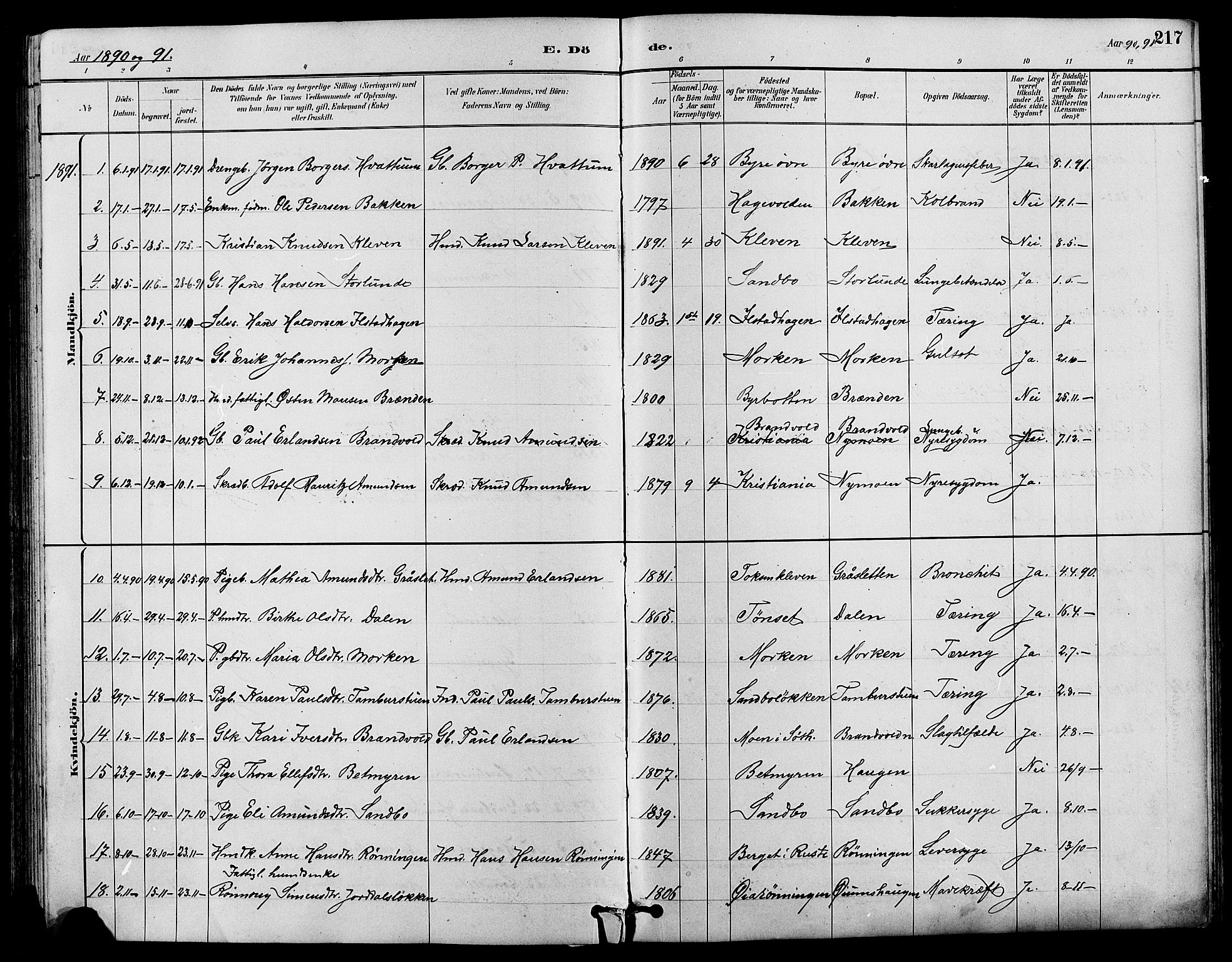 Nord-Fron prestekontor, SAH/PREST-080/H/Ha/Hab/L0004: Parish register (copy) no. 4, 1884-1914, p. 217