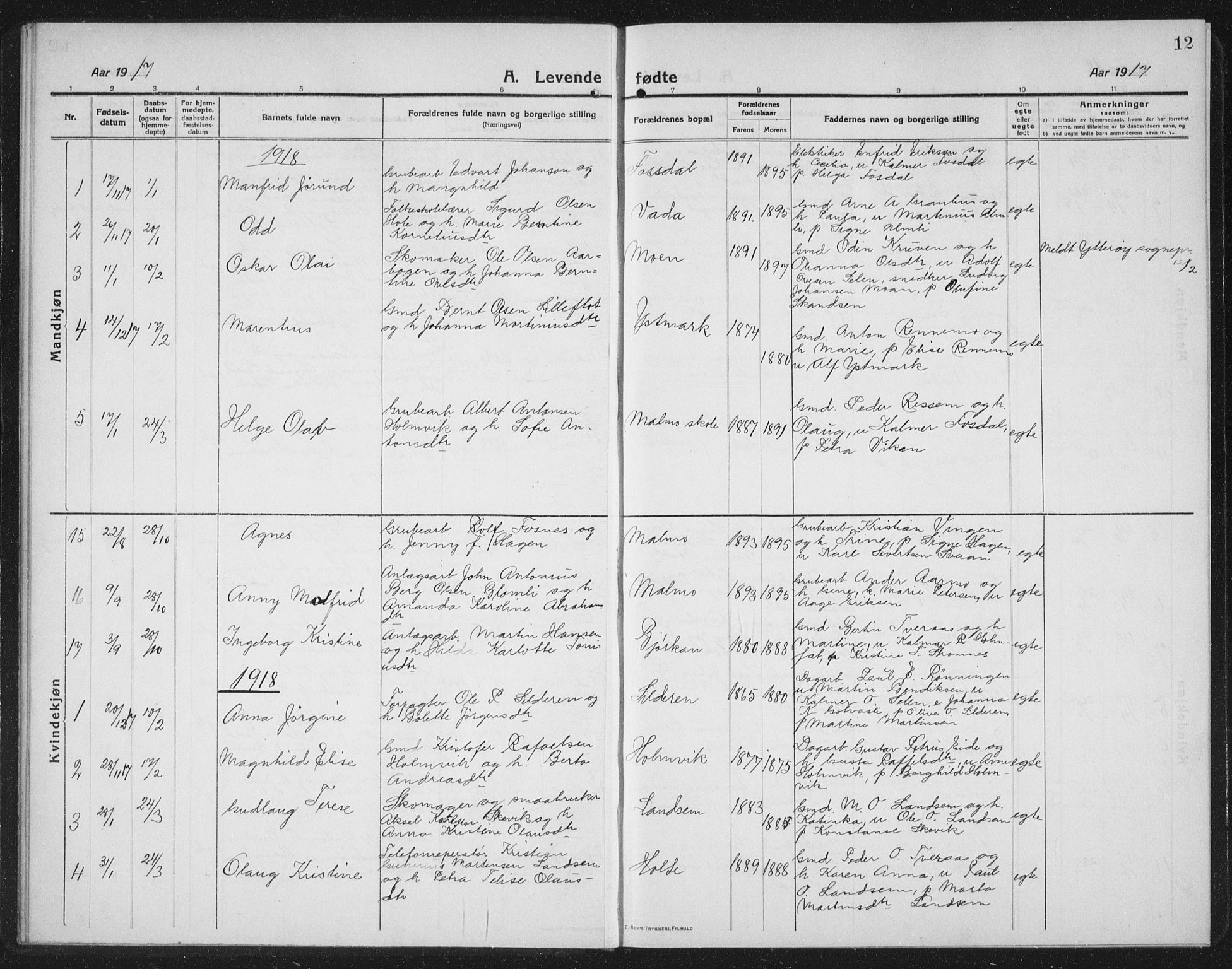 Ministerialprotokoller, klokkerbøker og fødselsregistre - Nord-Trøndelag, AV/SAT-A-1458/745/L0434: Parish register (copy) no. 745C03, 1914-1937, p. 12