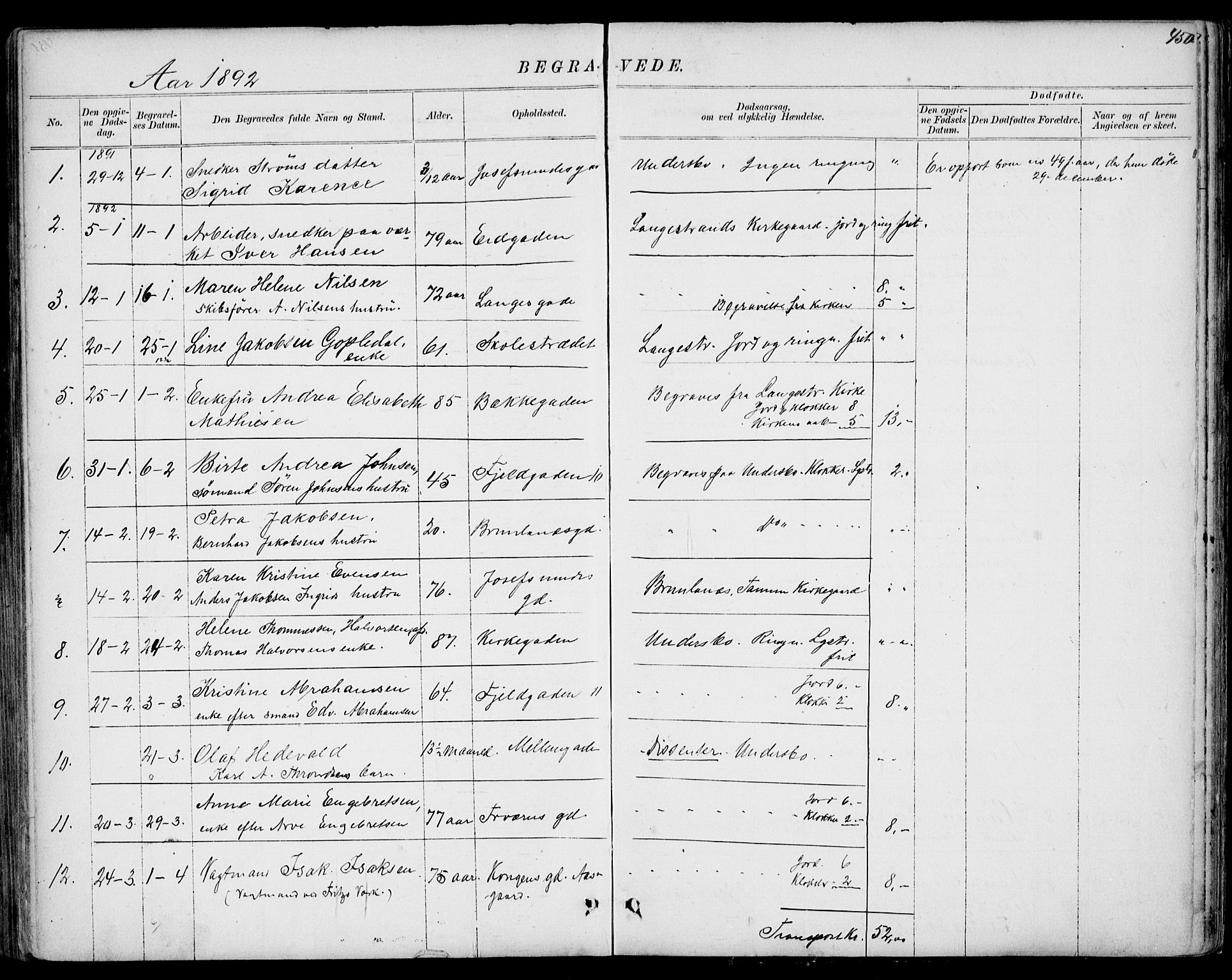 Larvik kirkebøker, AV/SAKO-A-352/G/Gb/L0003: Parish register (copy) no. II 3, 1867-1899, p. 450