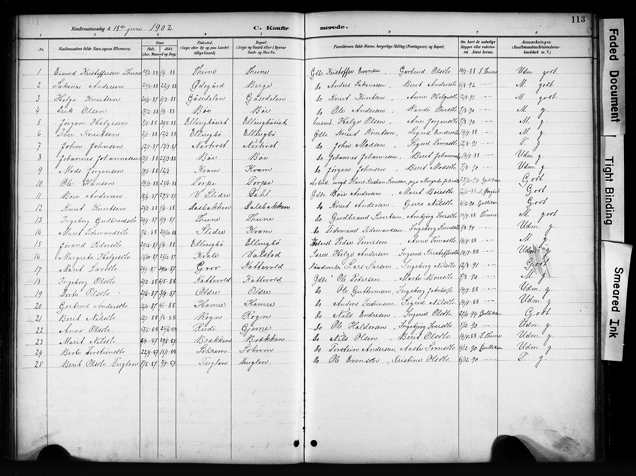 Vang prestekontor, Valdres, SAH/PREST-140/H/Hb/L0006: Parish register (copy) no. 6, 1893-1918, p. 113