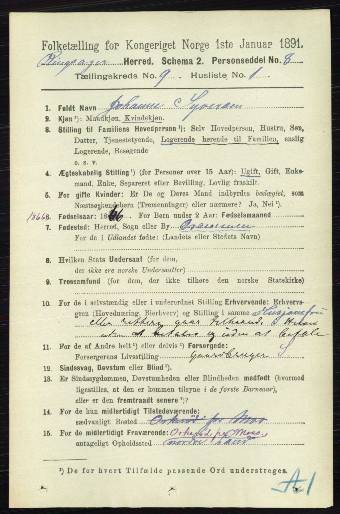 RA, 1891 census for 0412 Ringsaker, 1891, p. 5055