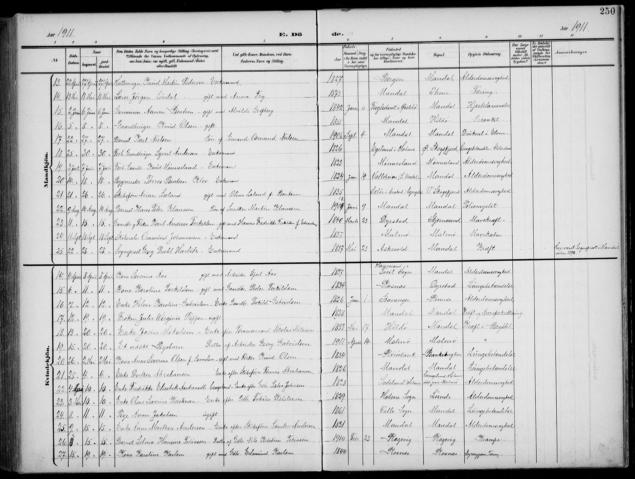 Mandal sokneprestkontor, AV/SAK-1111-0030/F/Fb/Fba/L0012: Parish register (copy) no. B 6, 1899-1918, p. 250