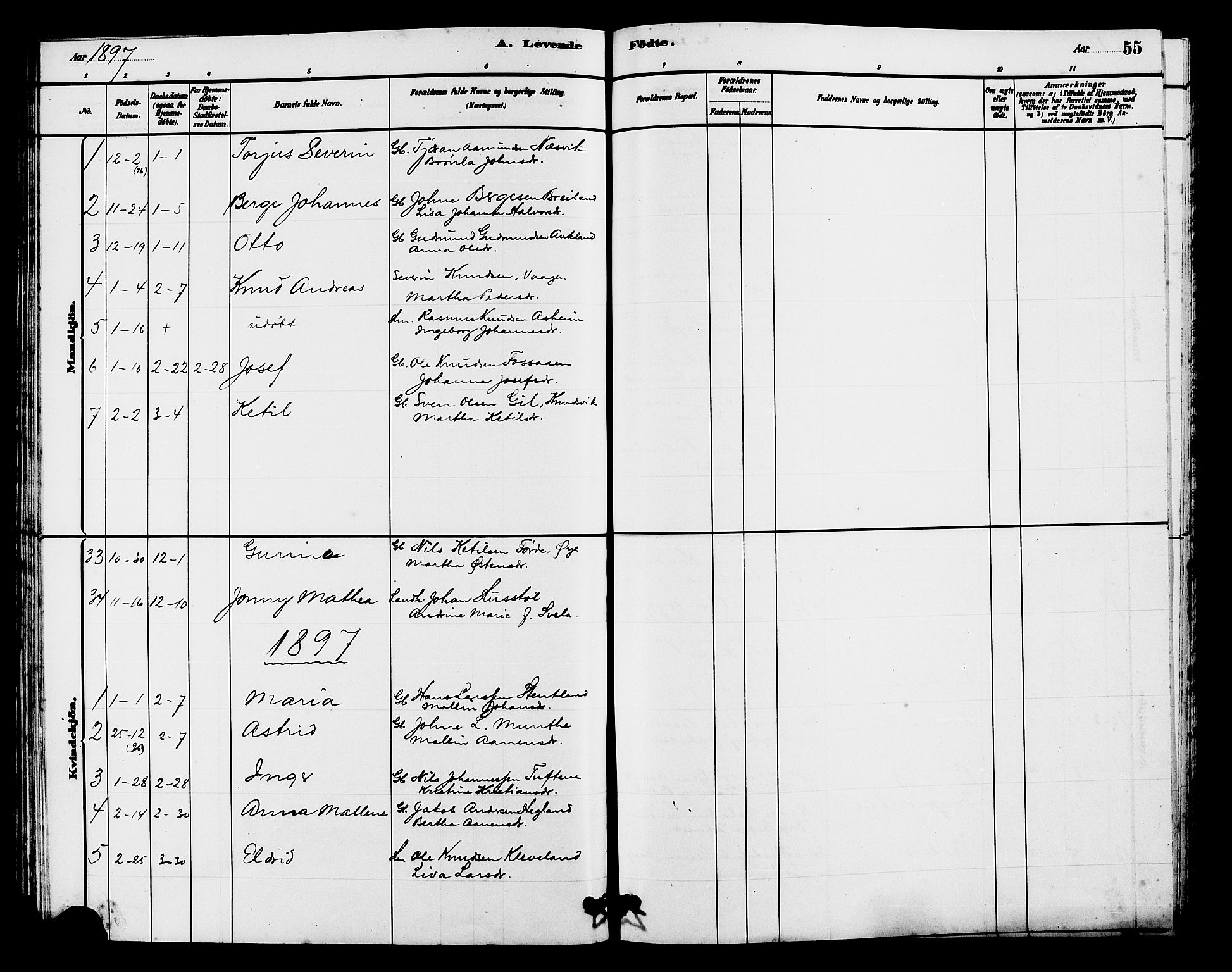 Hjelmeland sokneprestkontor, AV/SAST-A-101843/01/V/L0007: Parish register (copy) no. B 7, 1880-1909, p. 55