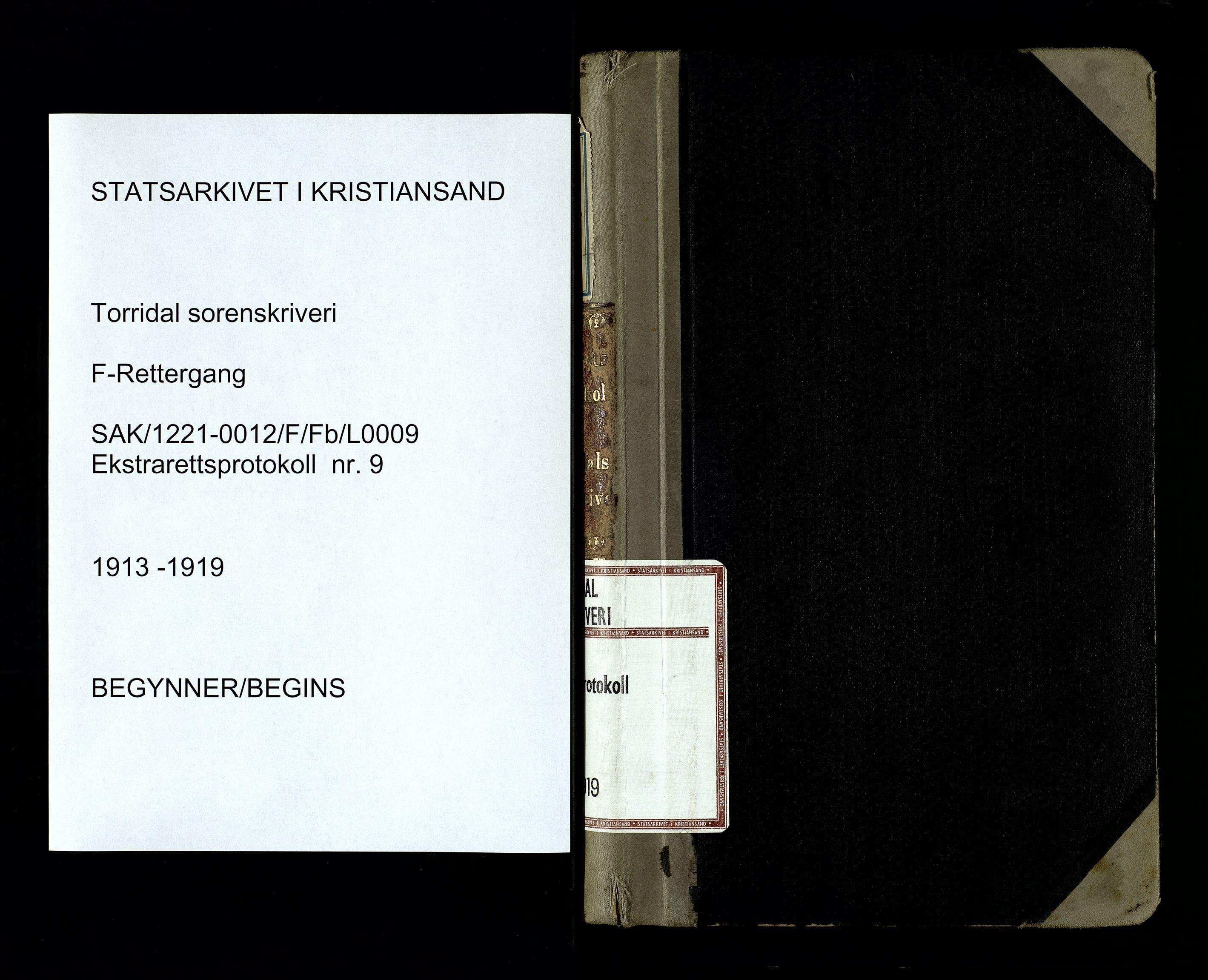 Torridal sorenskriveri, AV/SAK-1221-0012/F/Fb/L0009: Ekstrarettsprotokoll nr. 9, 1913-1919