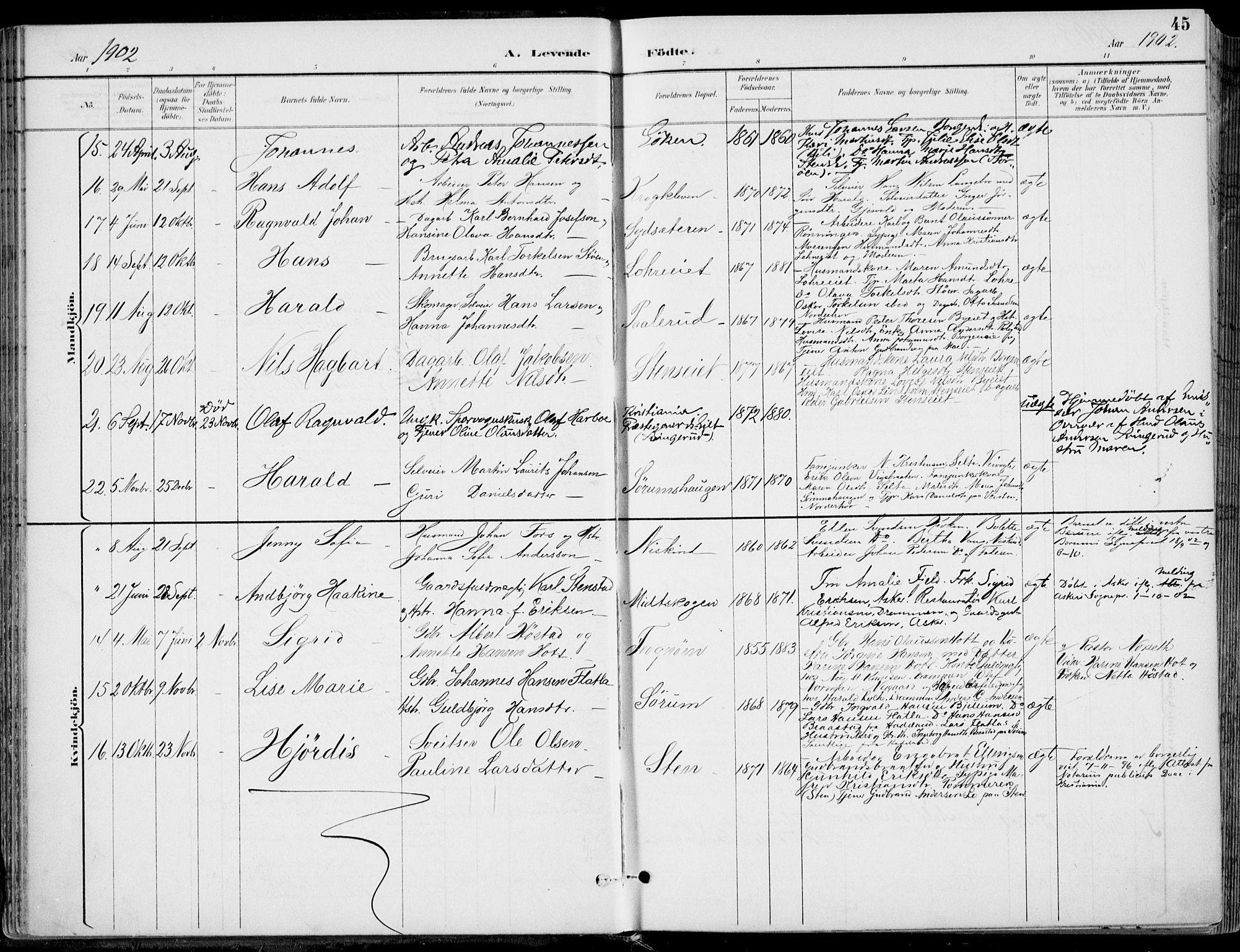 Hole kirkebøker, AV/SAKO-A-228/F/Fa/L0009: Parish register (official) no. I 9, 1892-1907, p. 45