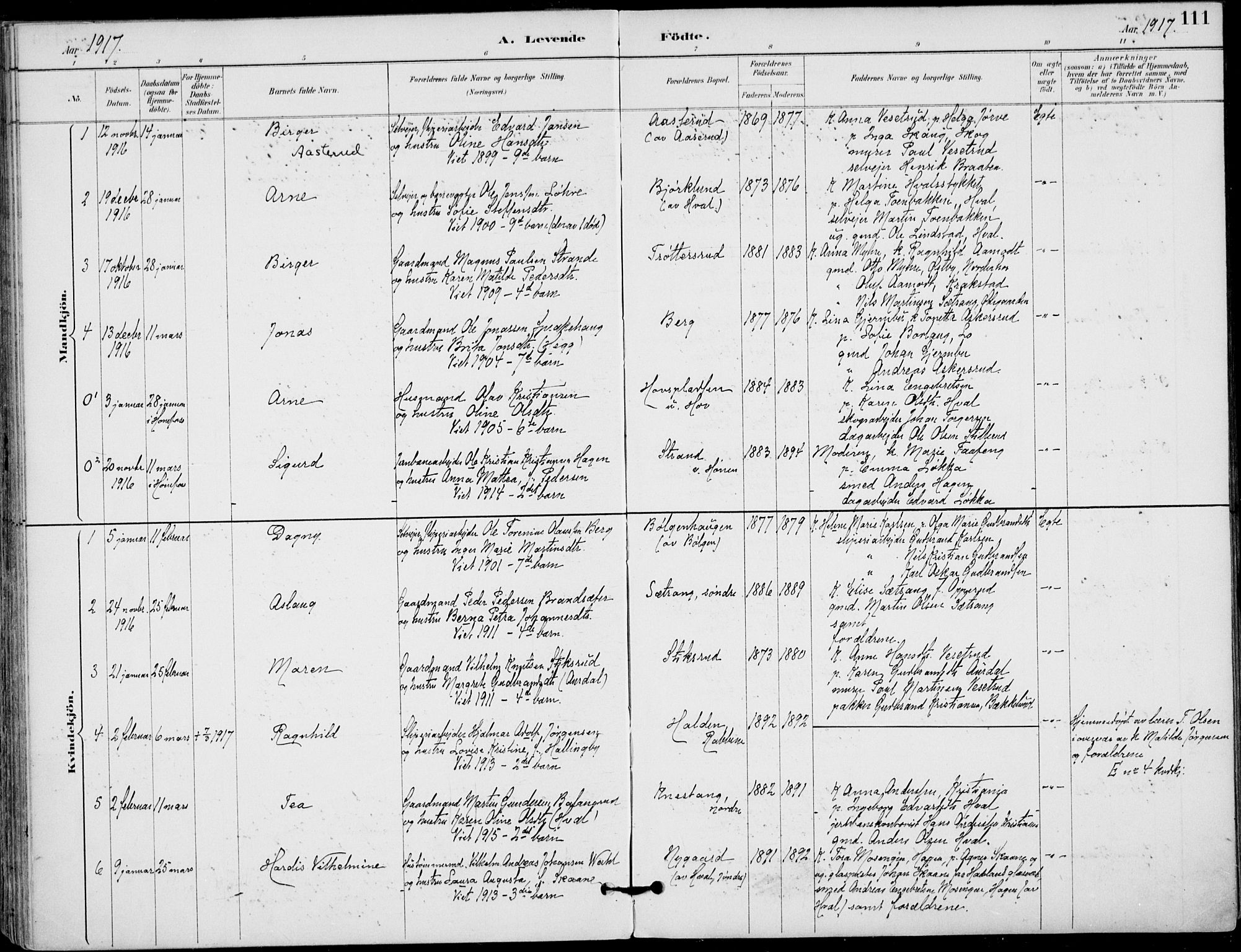 Haug kirkebøker, AV/SAKO-A-604/F/Fa/L0001: Parish register (official) no. 1, 1885-1917, p. 111