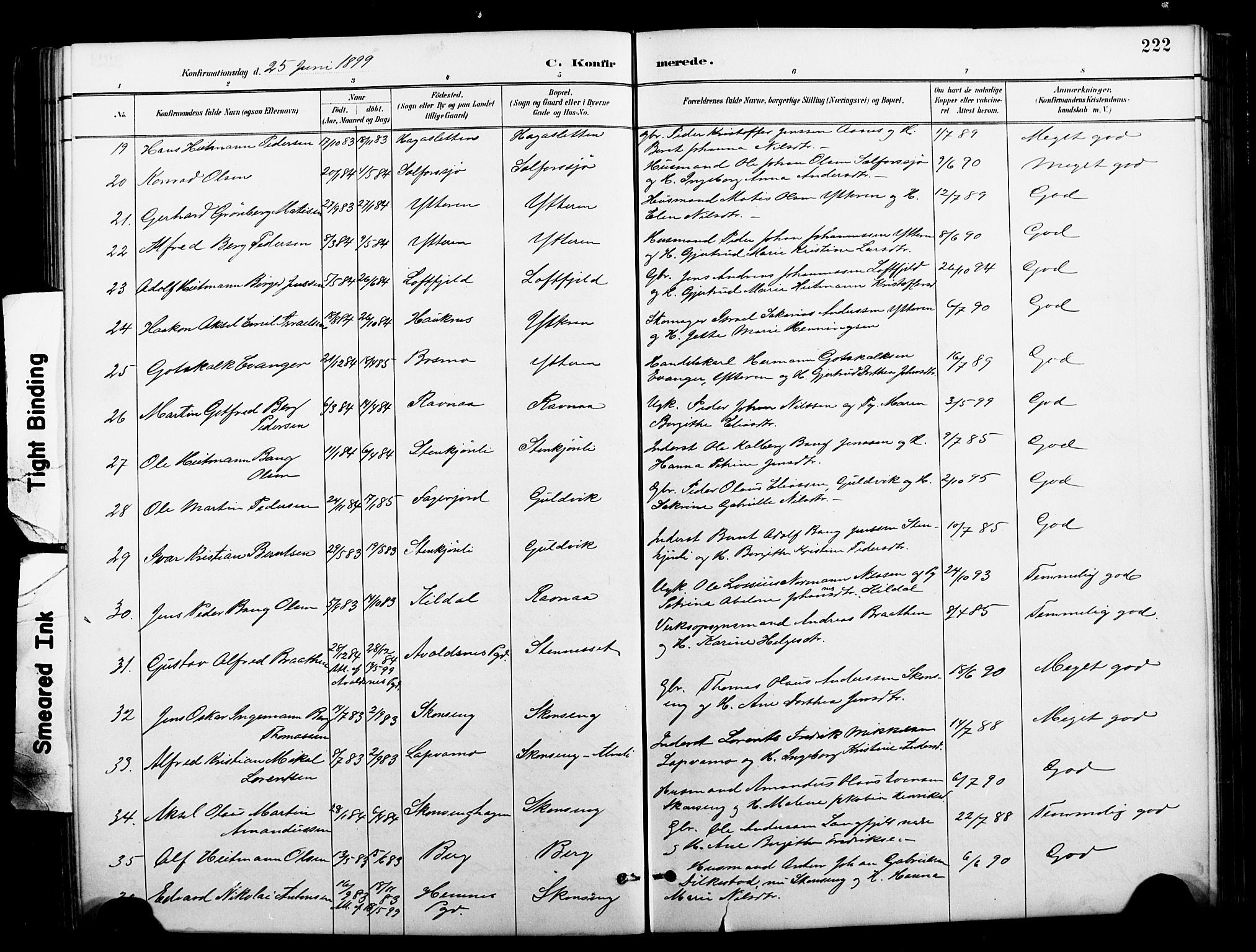 Ministerialprotokoller, klokkerbøker og fødselsregistre - Nordland, AV/SAT-A-1459/827/L0421: Parish register (copy) no. 827C10, 1887-1906, p. 222
