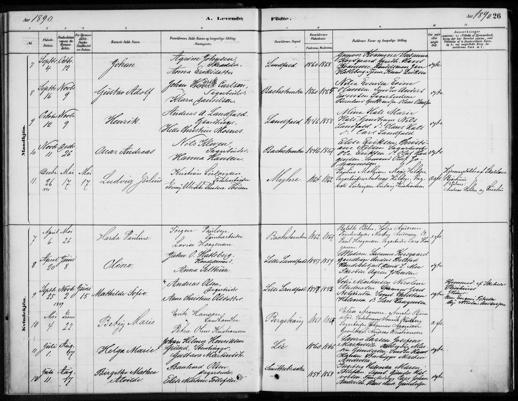 Åssiden kirkebøker, AV/SAKO-A-251/F/Fa/L0001: Parish register (official) no. 1, 1878-1904, p. 26