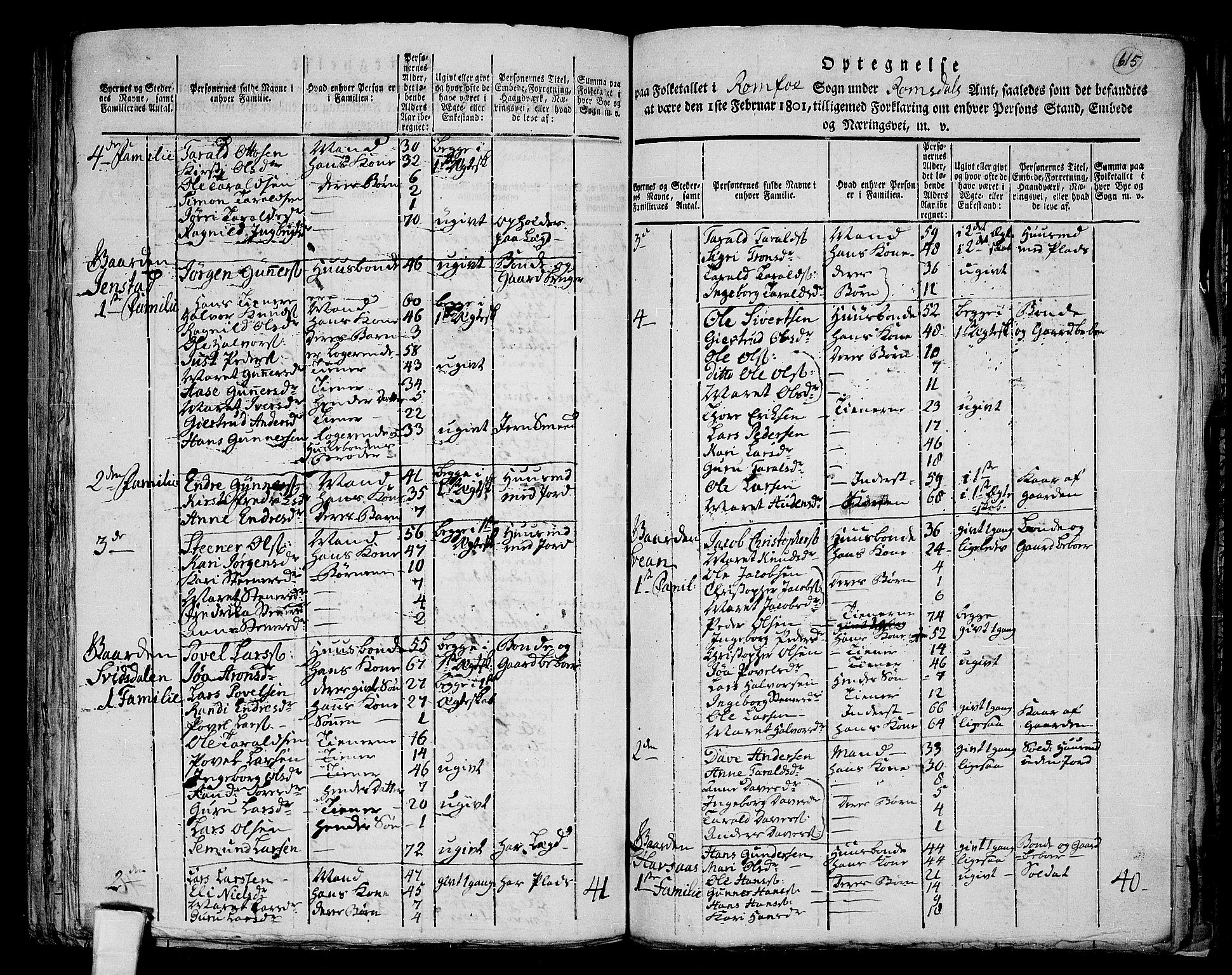 RA, 1801 census for 1563P Sunndal, 1801, p. 614b-615a