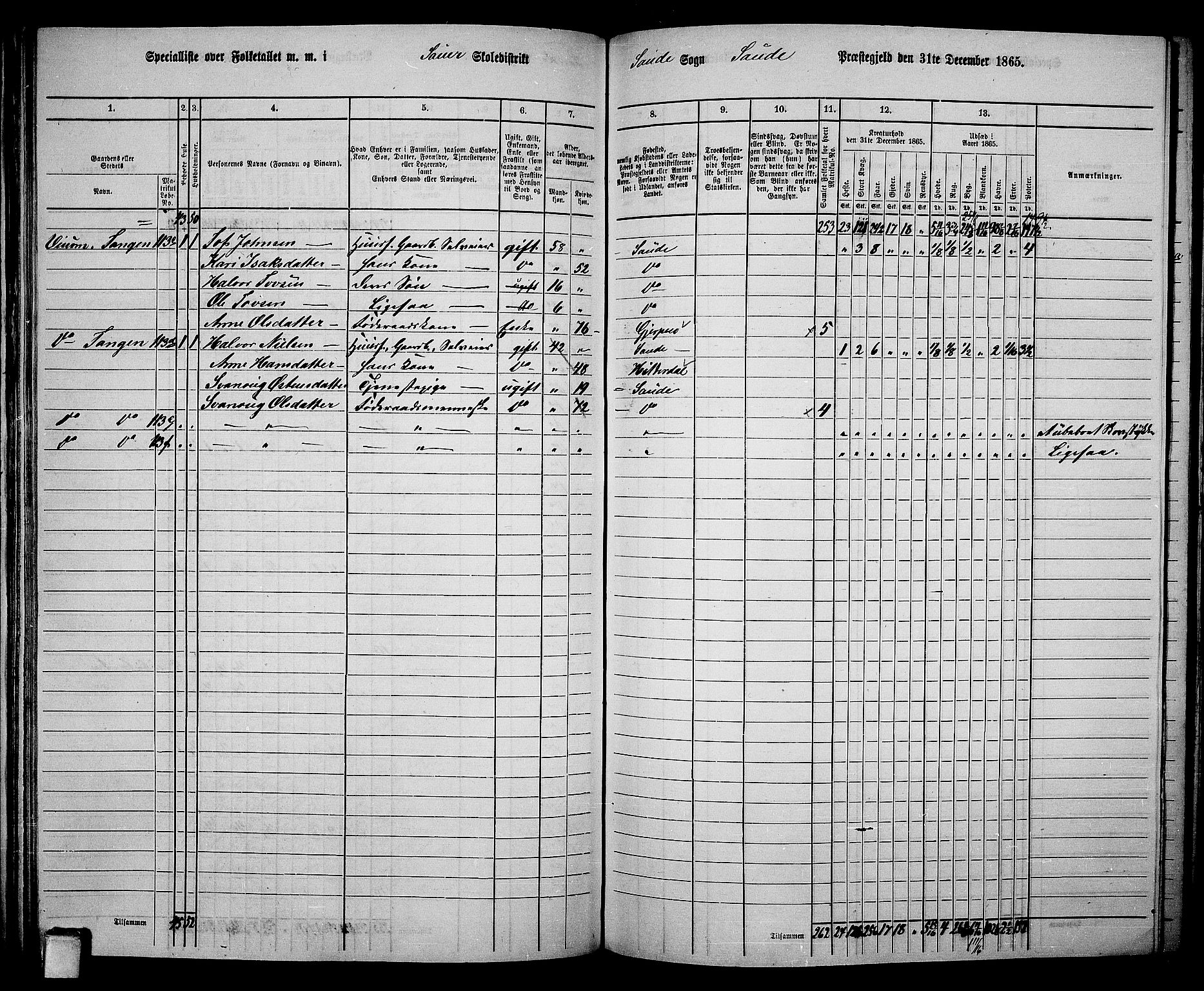 RA, 1865 census for Sauherad, 1865, p. 97