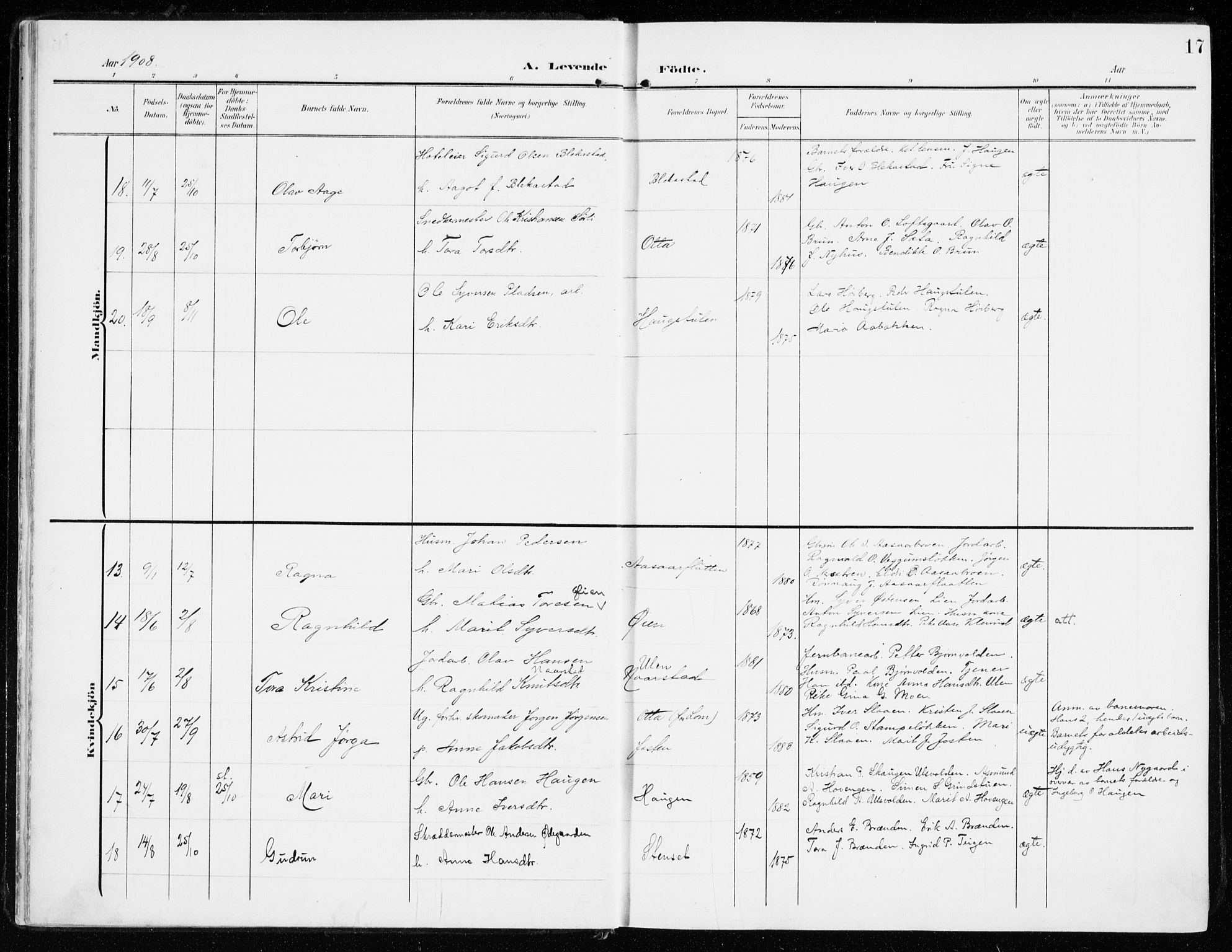 Sel prestekontor, AV/SAH-PREST-074/H/Ha/Haa/L0002: Parish register (official) no. 2, 1905-1919, p. 17