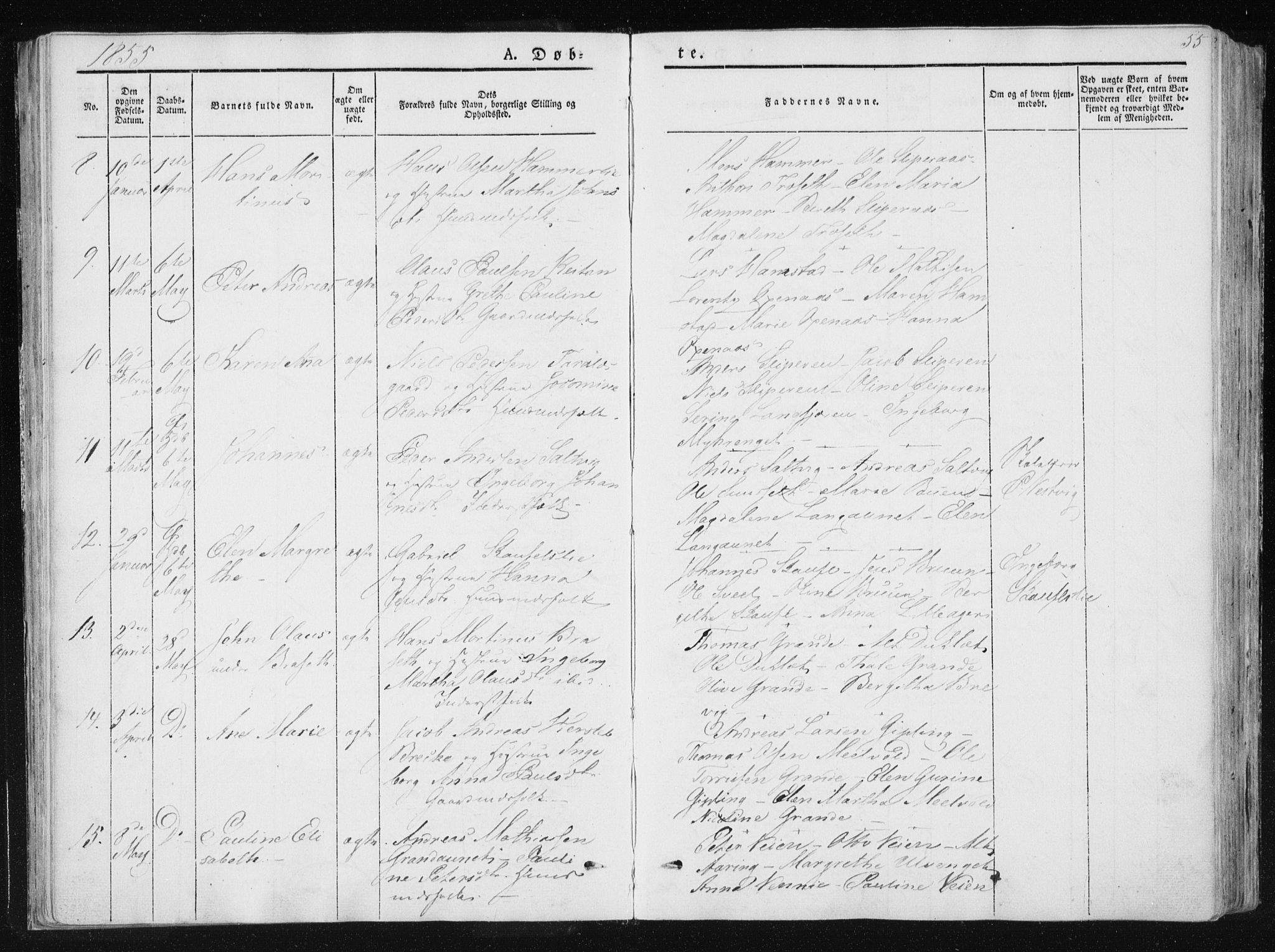 Ministerialprotokoller, klokkerbøker og fødselsregistre - Nord-Trøndelag, AV/SAT-A-1458/733/L0323: Parish register (official) no. 733A02, 1843-1870, p. 55