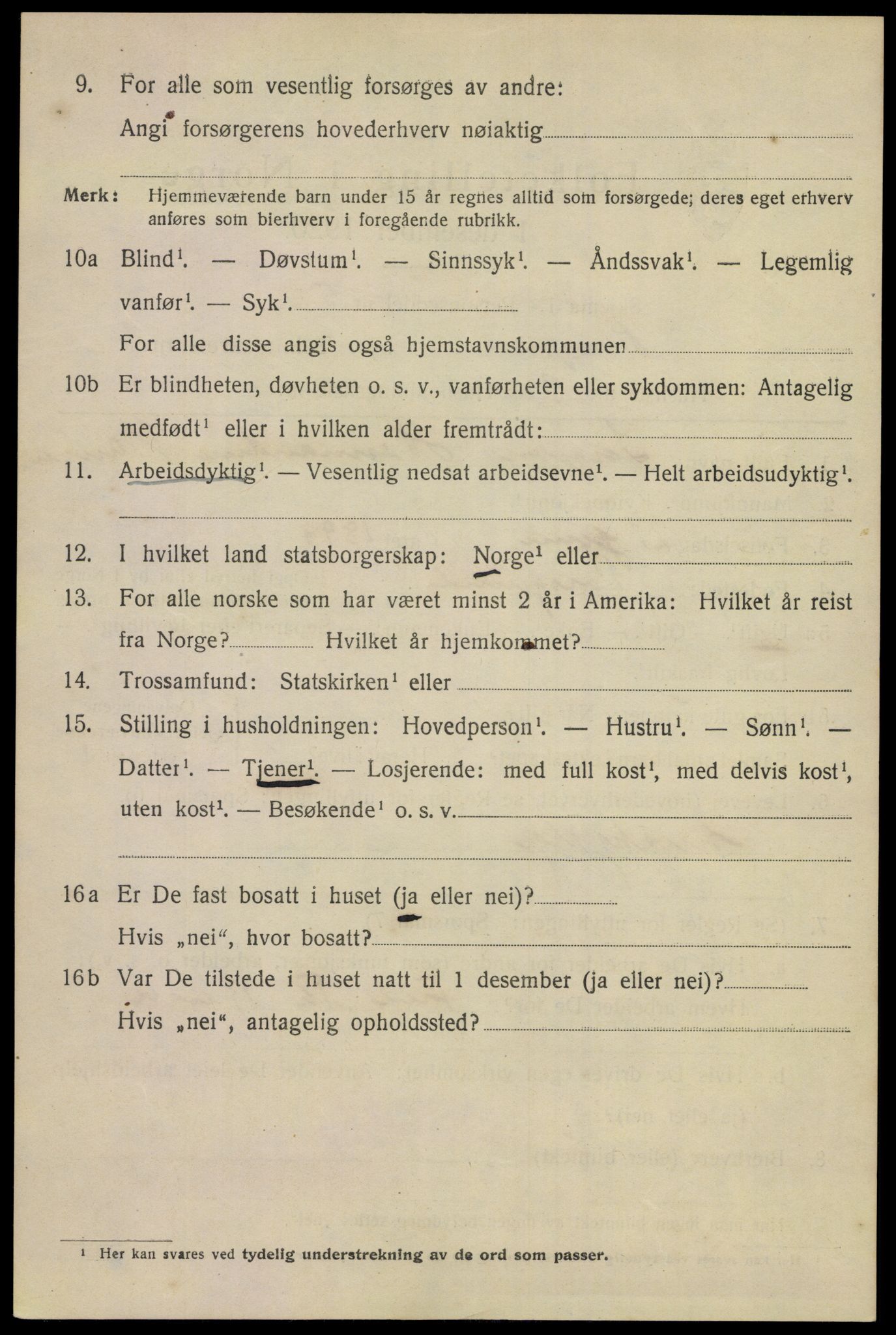 SAKO, 1920 census for Porsgrunn, 1920, p. 18952