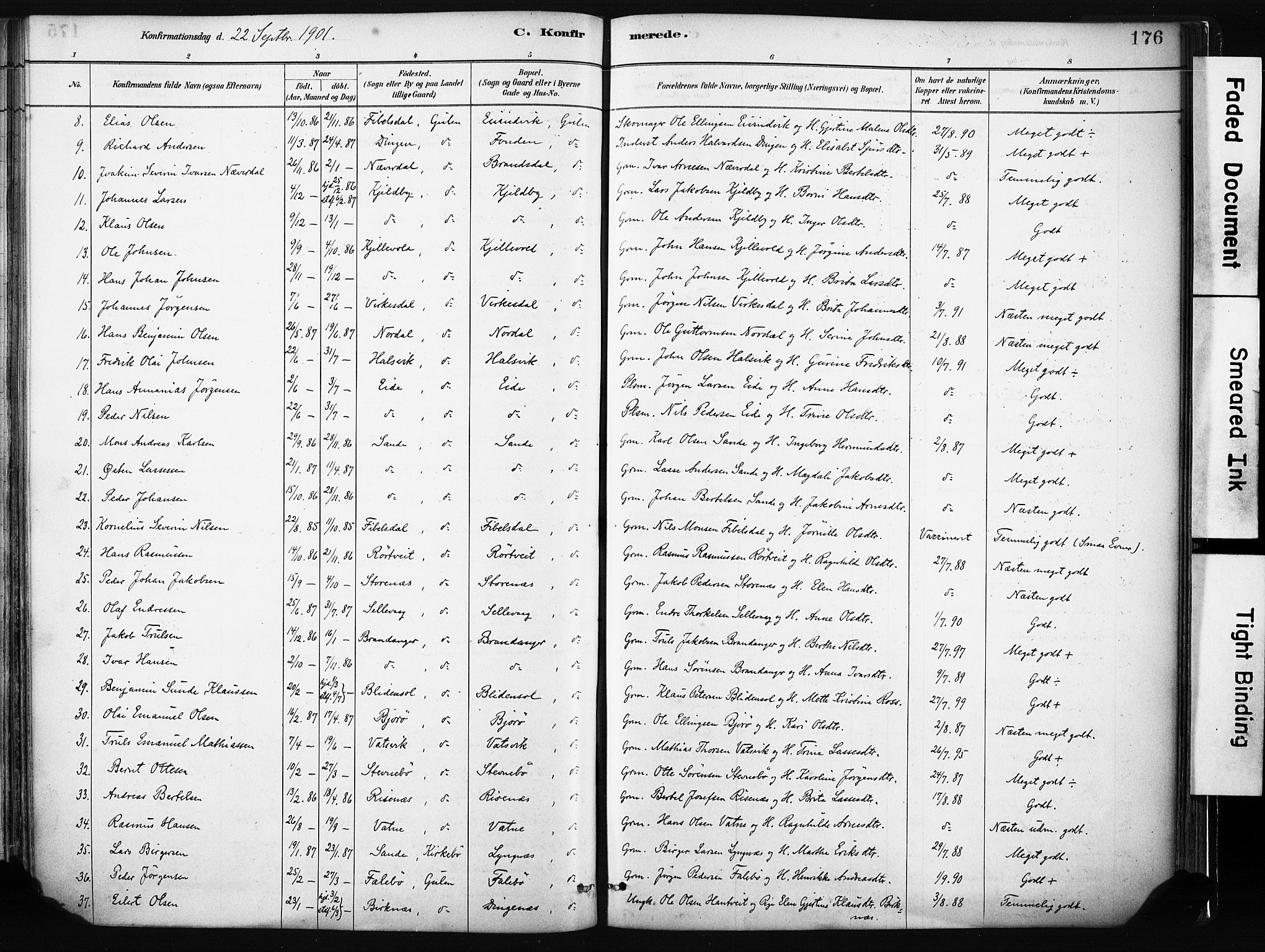 Gulen sokneprestembete, SAB/A-80201/H/Haa/Haab/L0001: Parish register (official) no. B 1, 1881-1905, p. 176