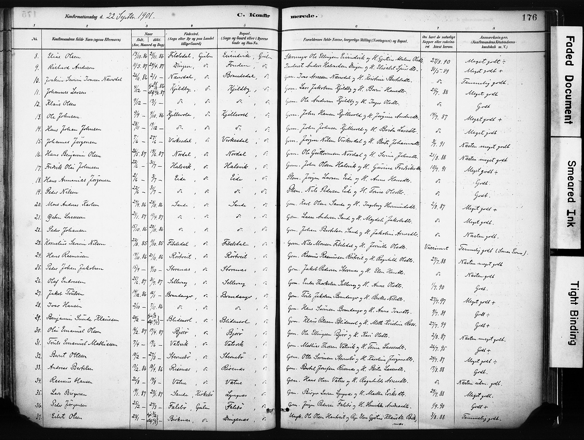 Gulen sokneprestembete, AV/SAB-A-80201/H/Haa/Haab/L0001: Parish register (official) no. B 1, 1881-1905, p. 176